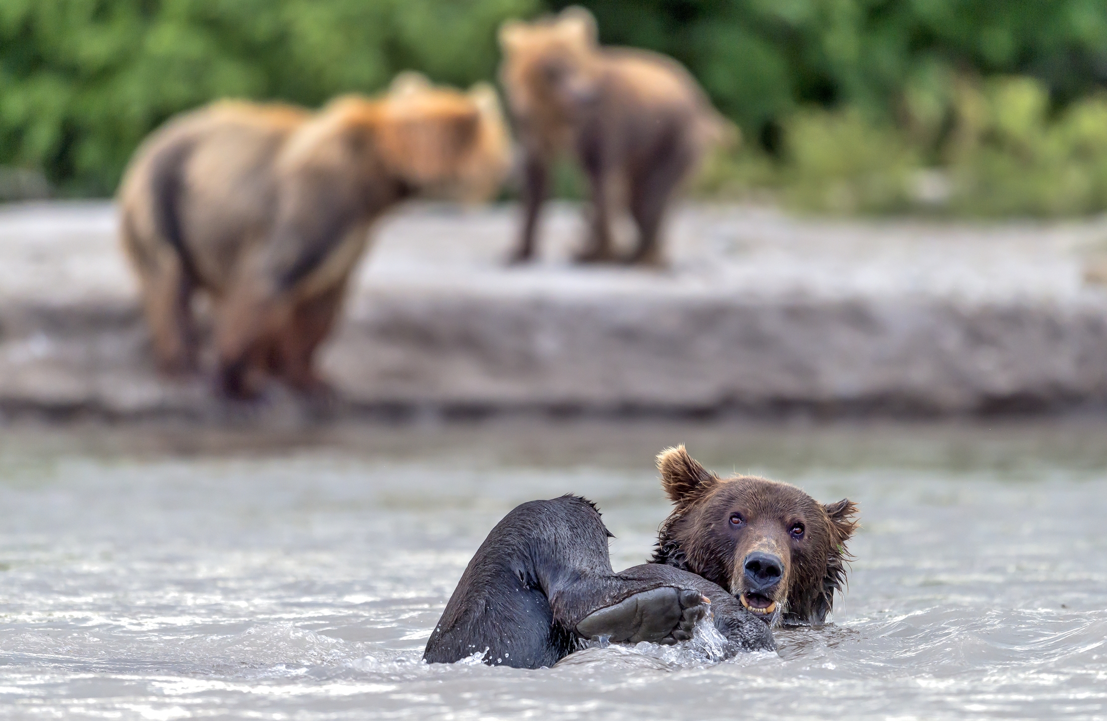 Kamchatka 2016 - Bagnetto