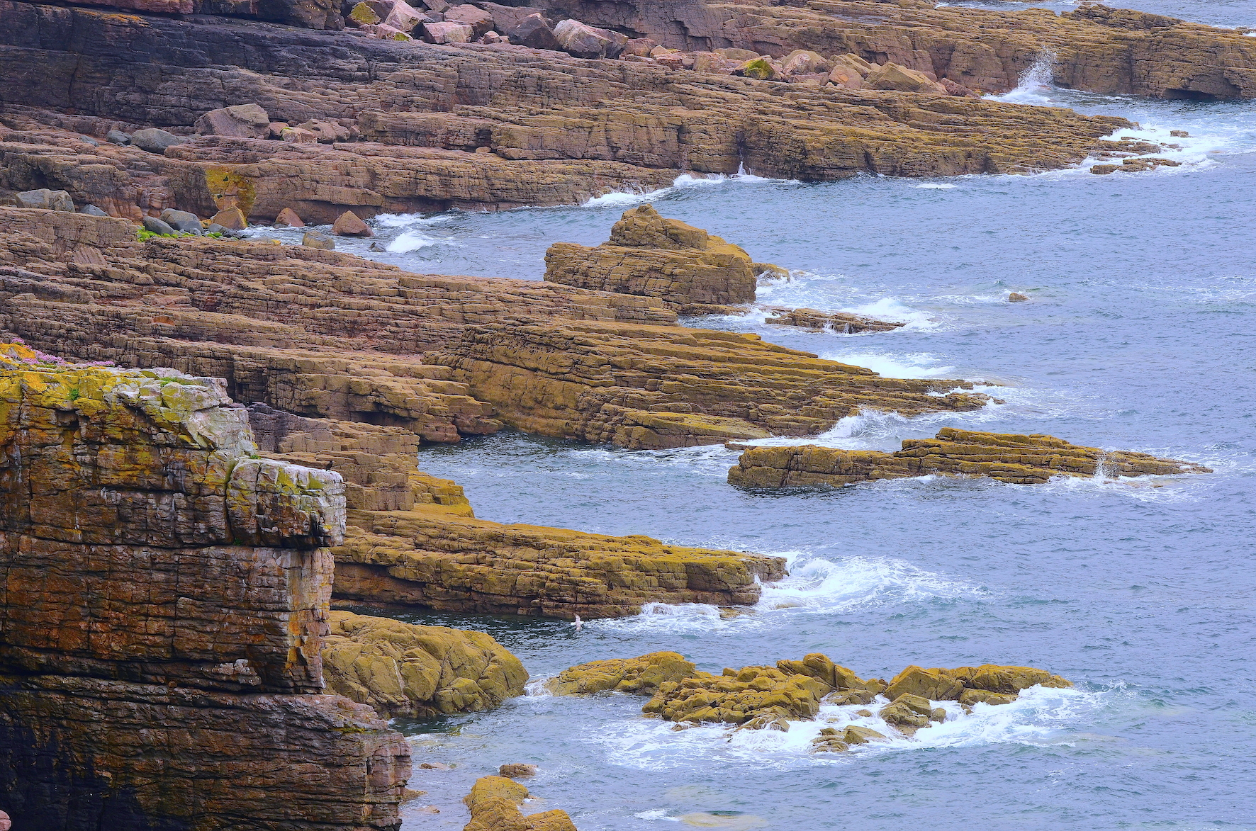Sogliere "Cap Frehel" Britain