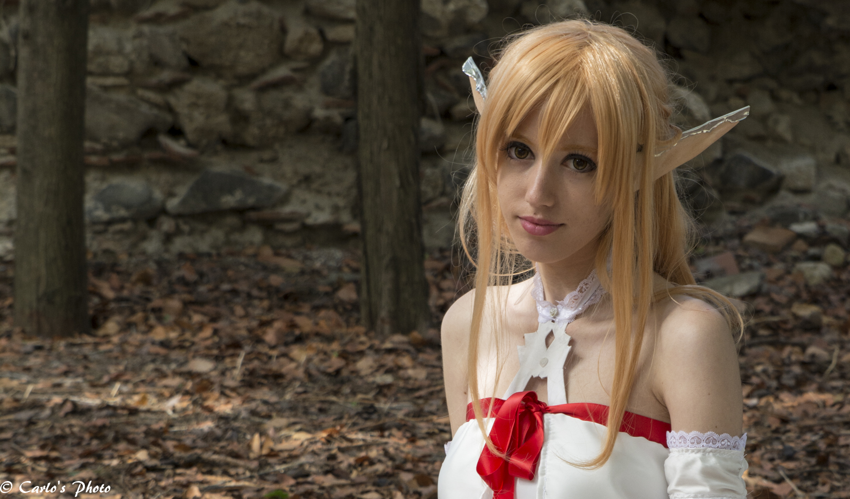 elf in the woods ...