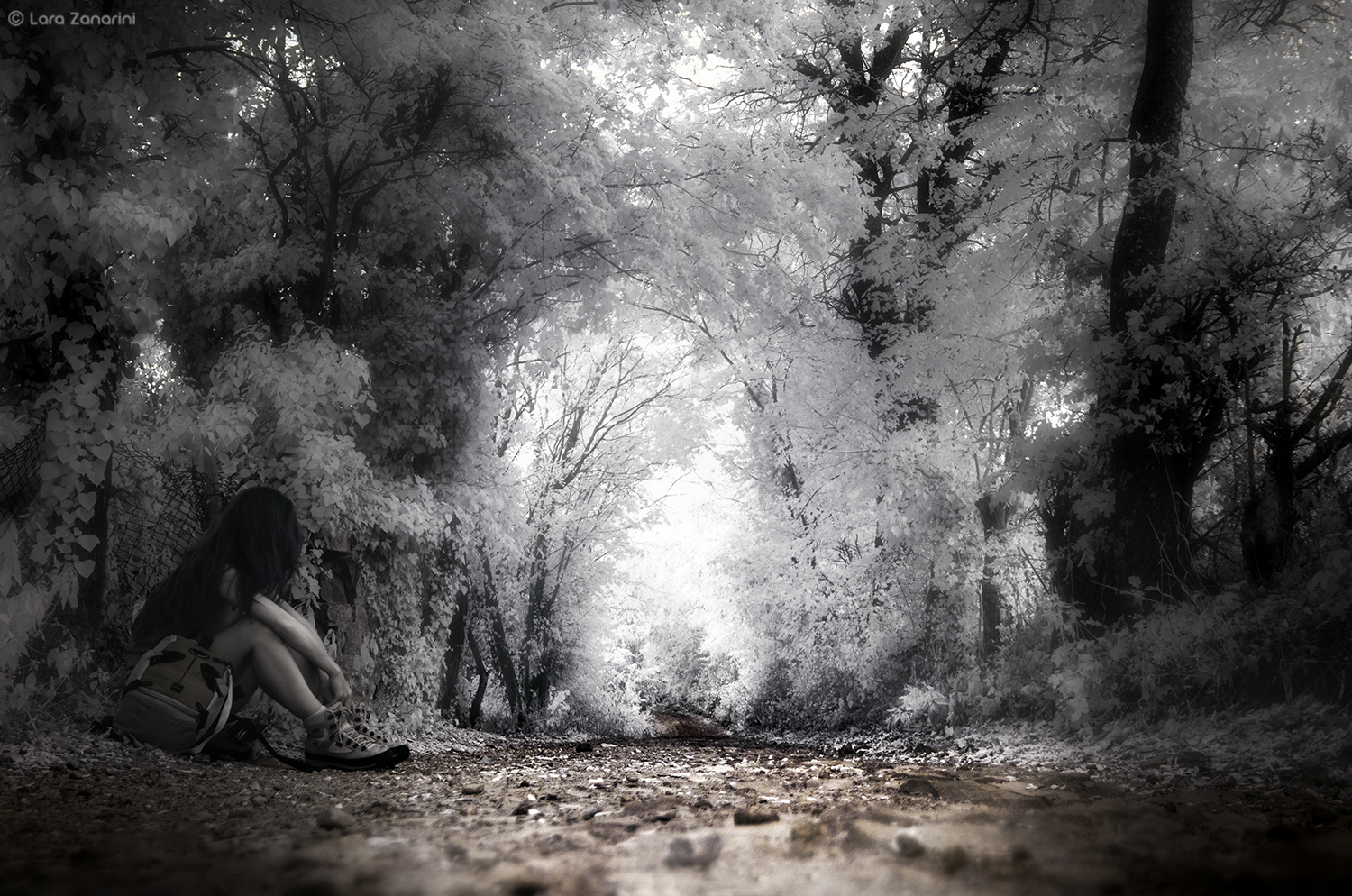 "...Sunlight, falling on your steel..."