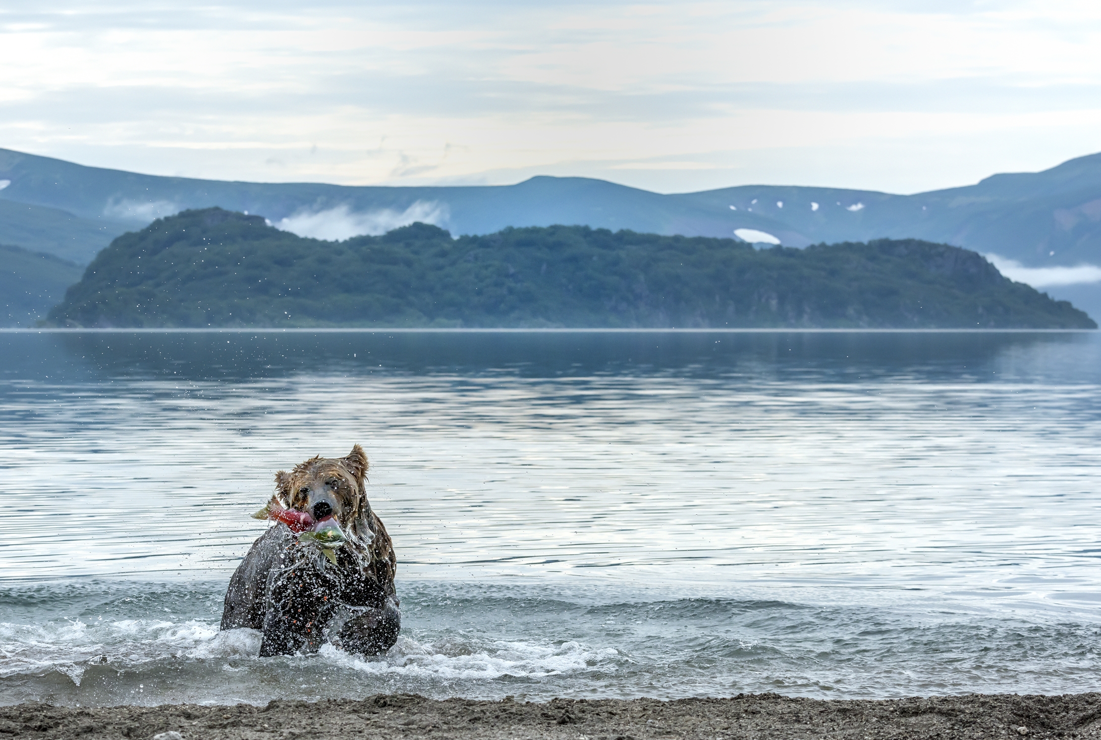 Kamchatka 2016 - Kurile Lake