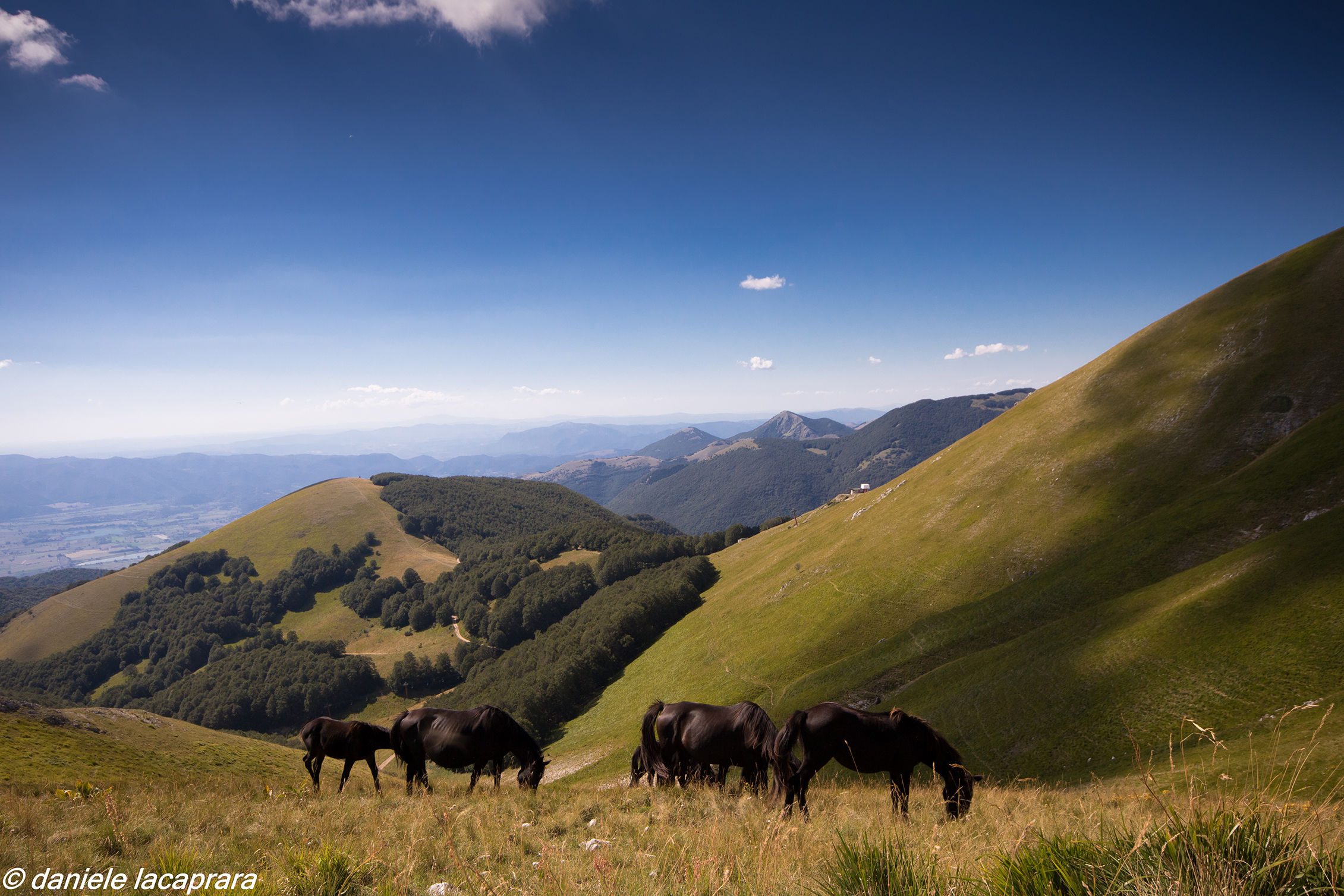 Terminillo inaspettato