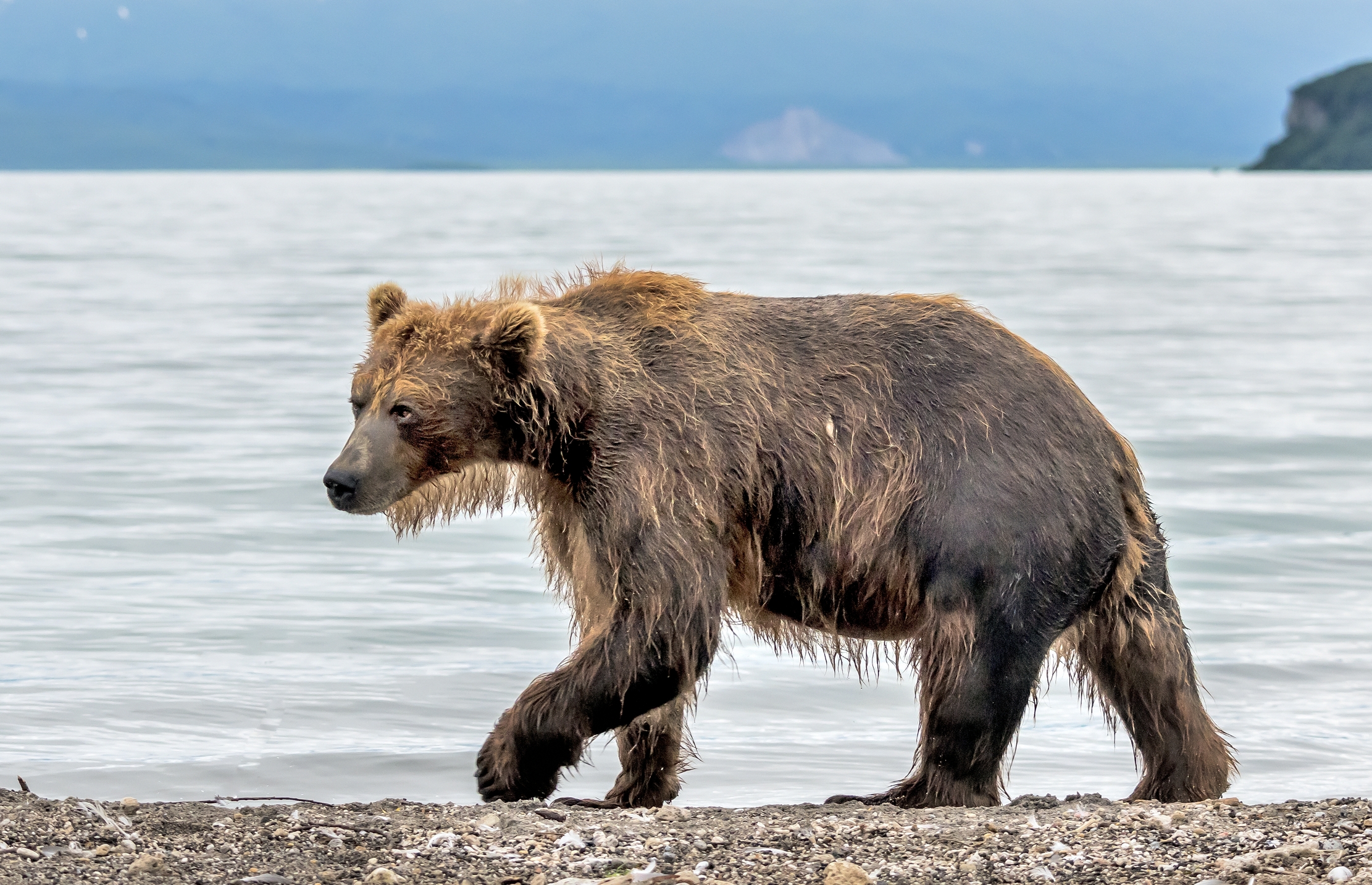 Kamchatka 2016 - Passeggio sul lago