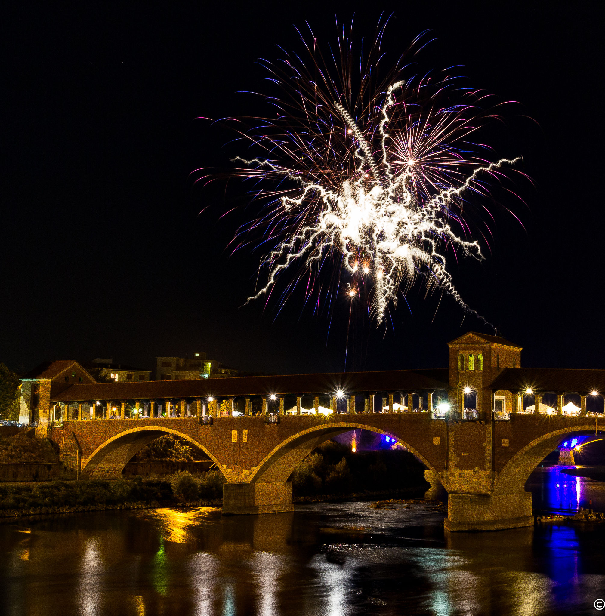 #Pavia - # FestaTicino2016 - 10