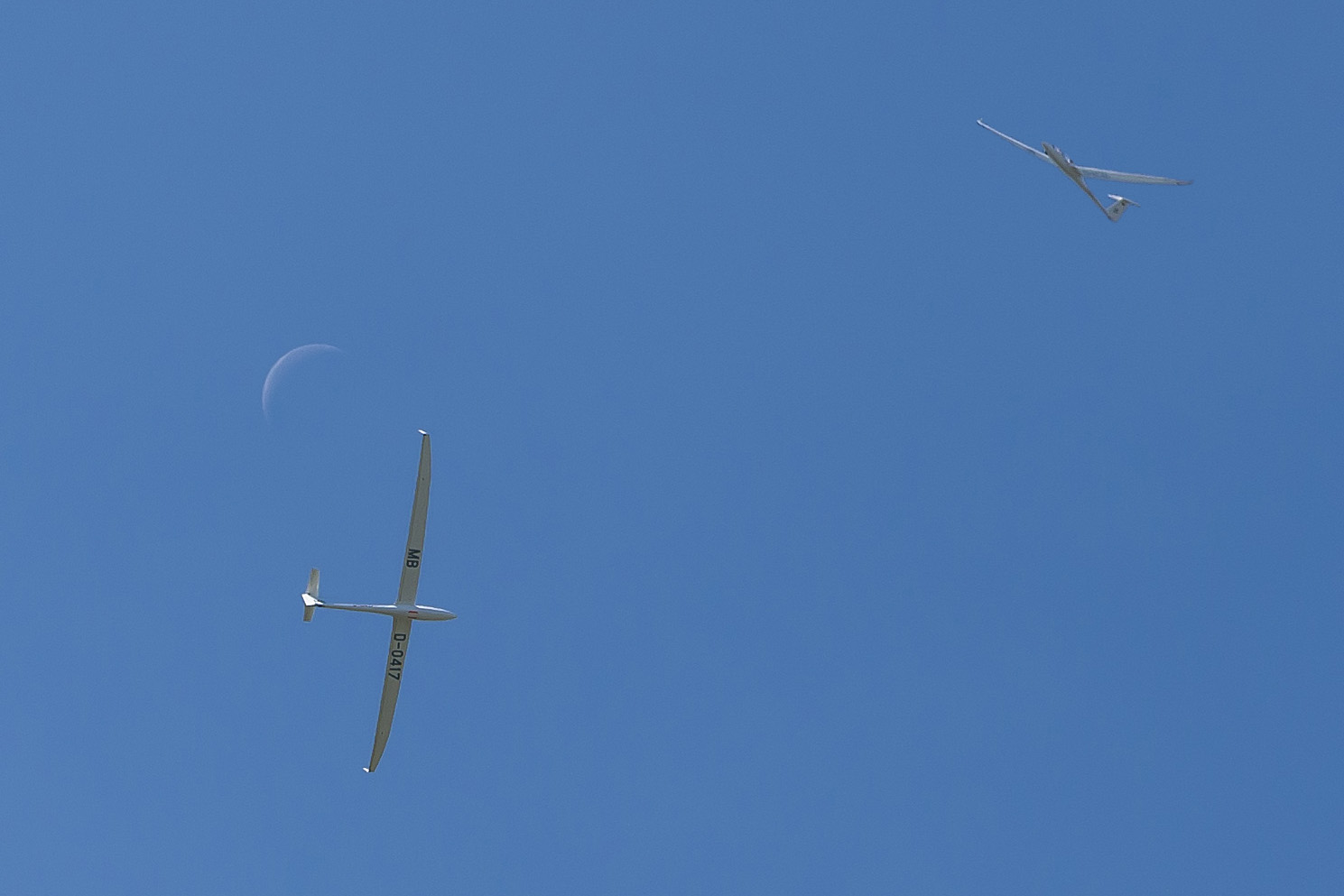 In coppia sulla luna