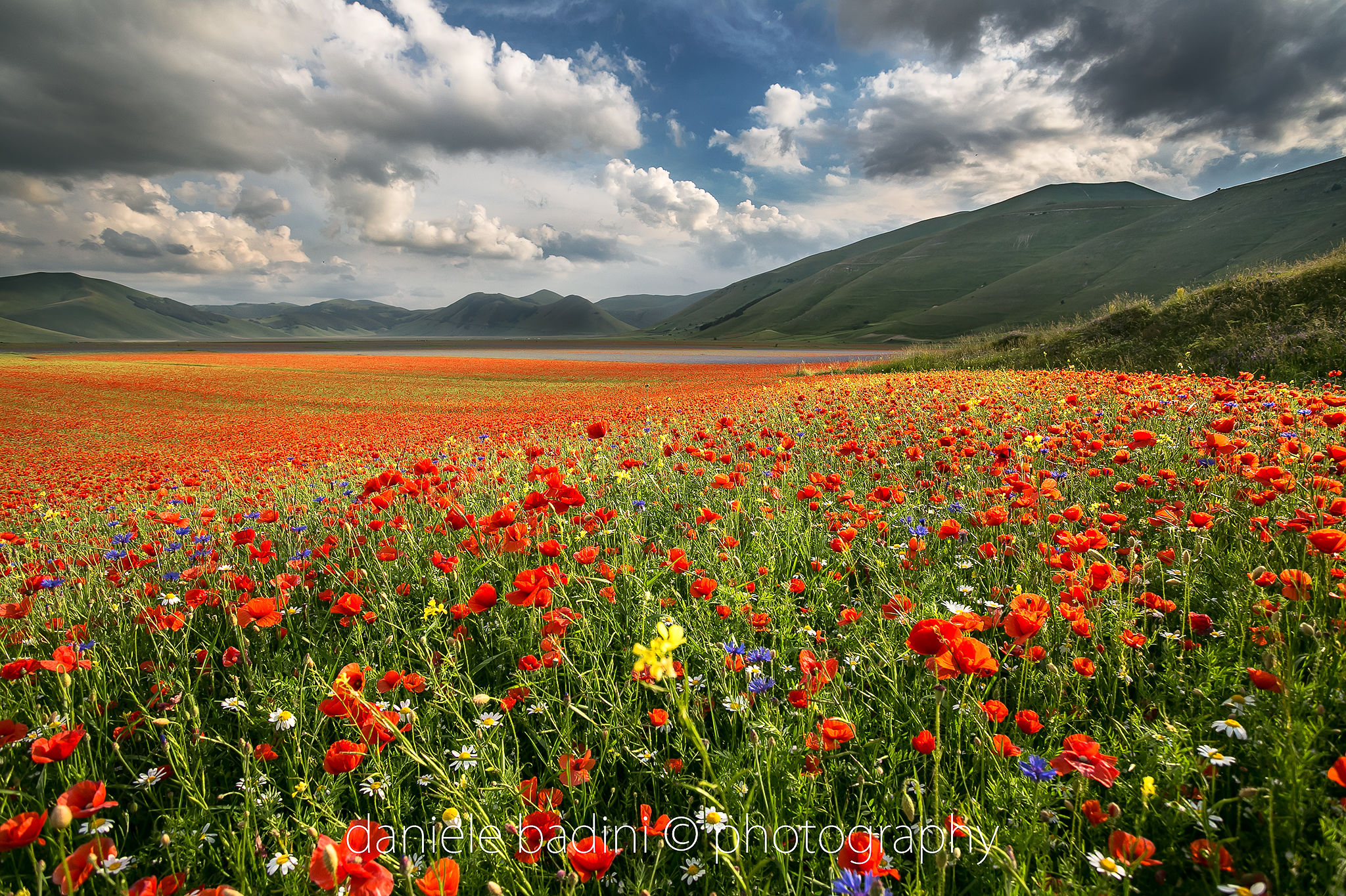 ai piani di Castelluccio