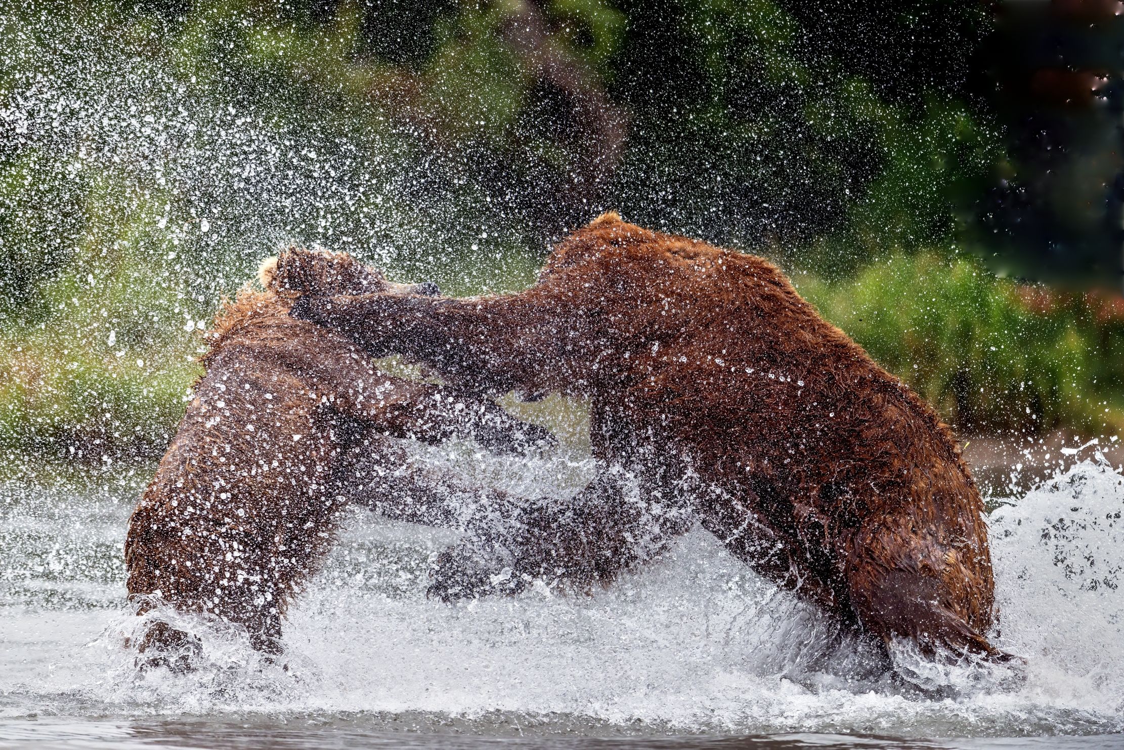Kamchatka 2016 - Gancio
