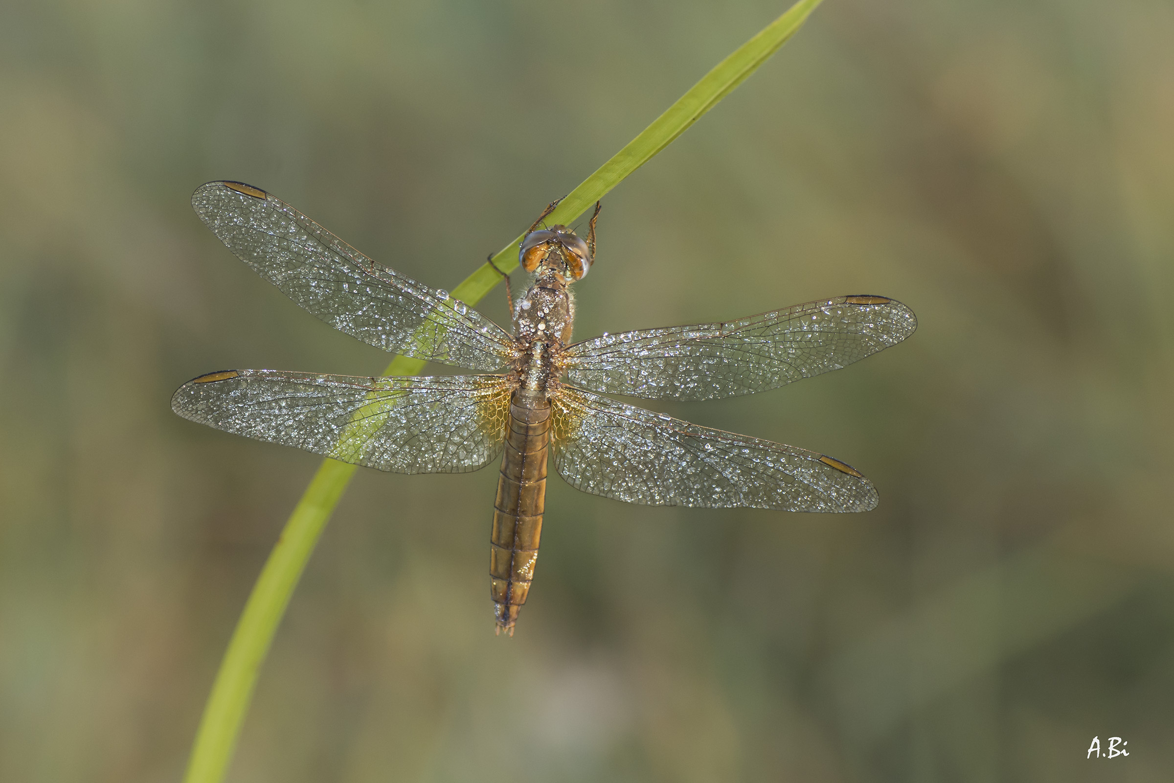Waiting for a bit 'of sunshine