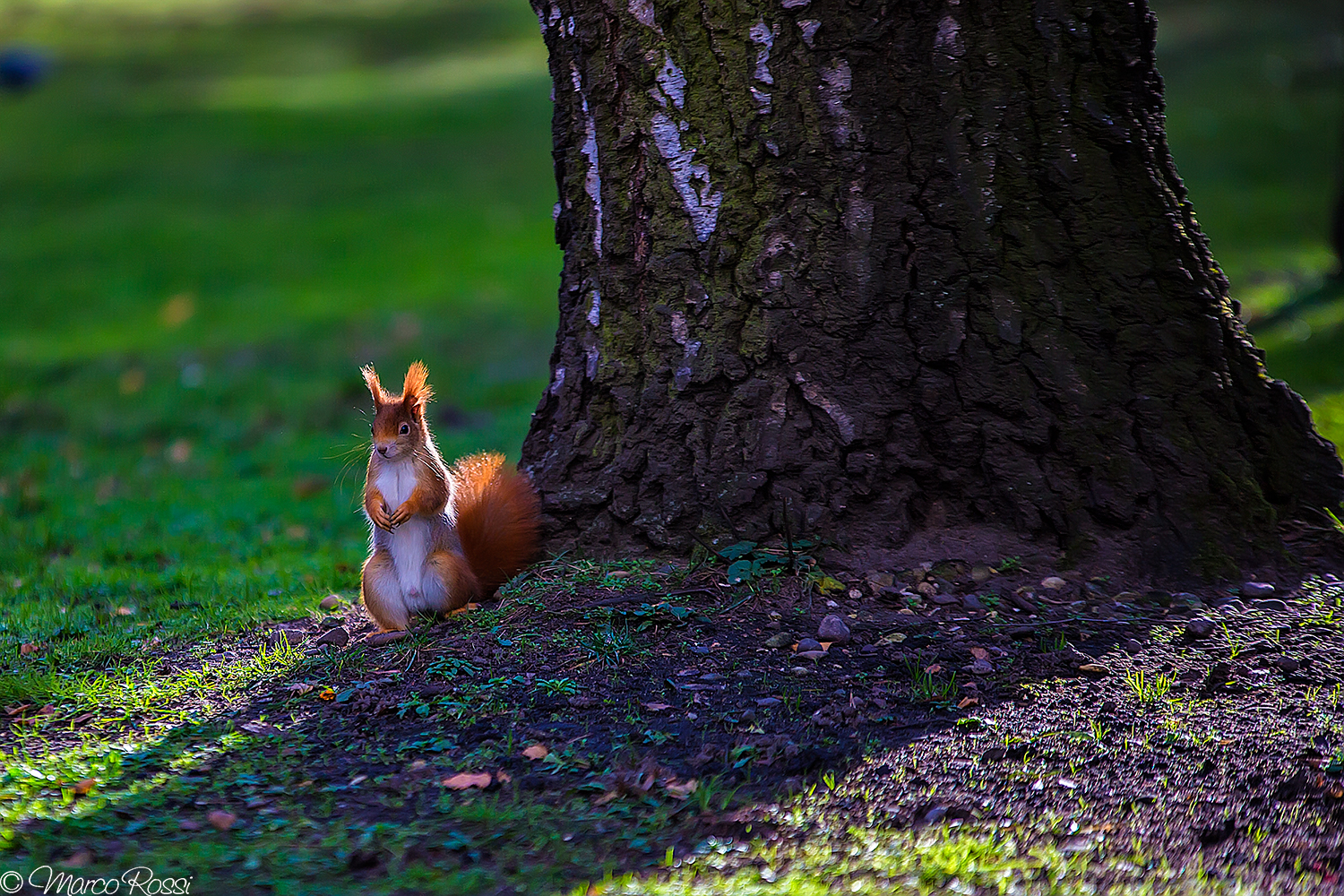 One of those righteous