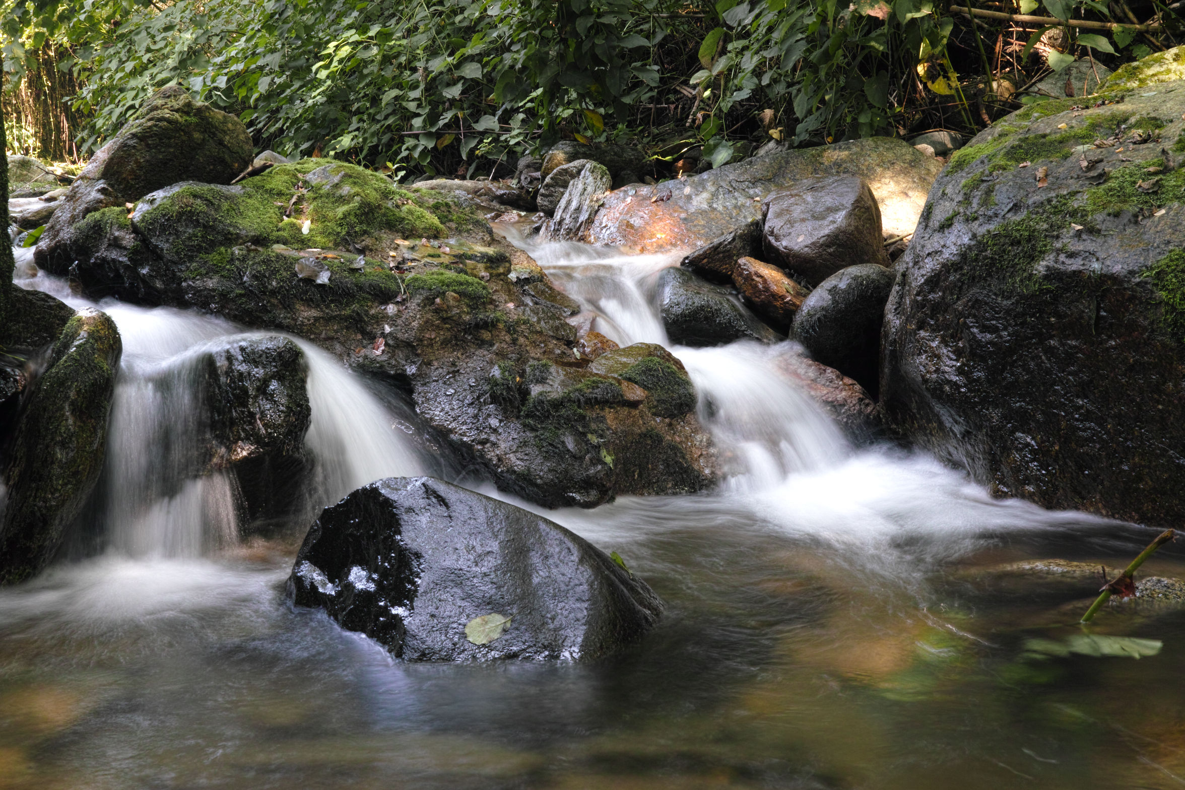 rethought Water Trail