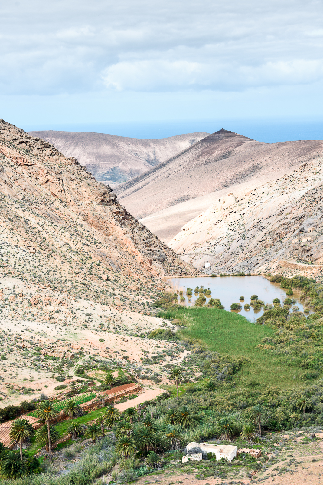 Oasi di Vega di Rio Palmas