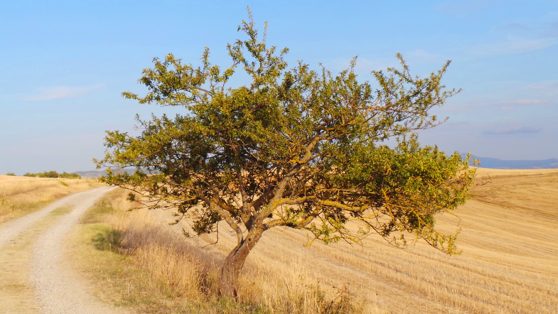 Walk towards Vitaleta,