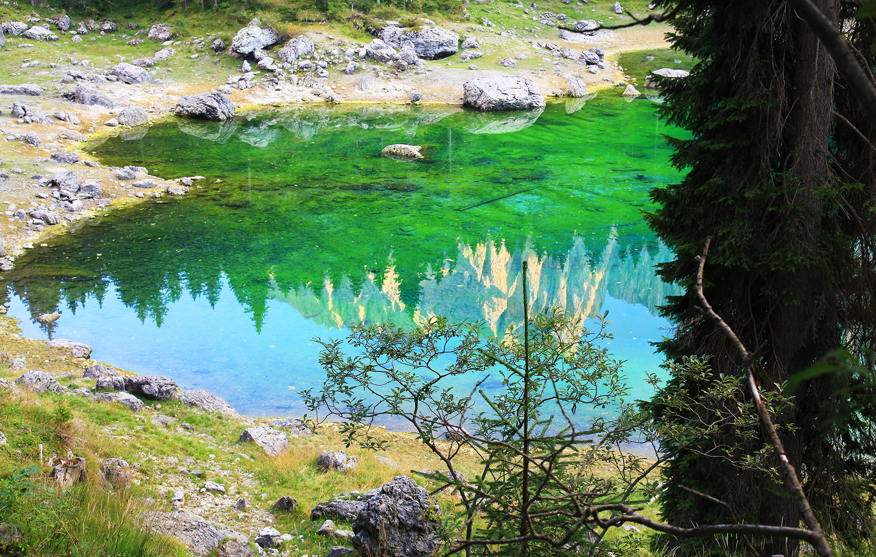 reflections at the lake