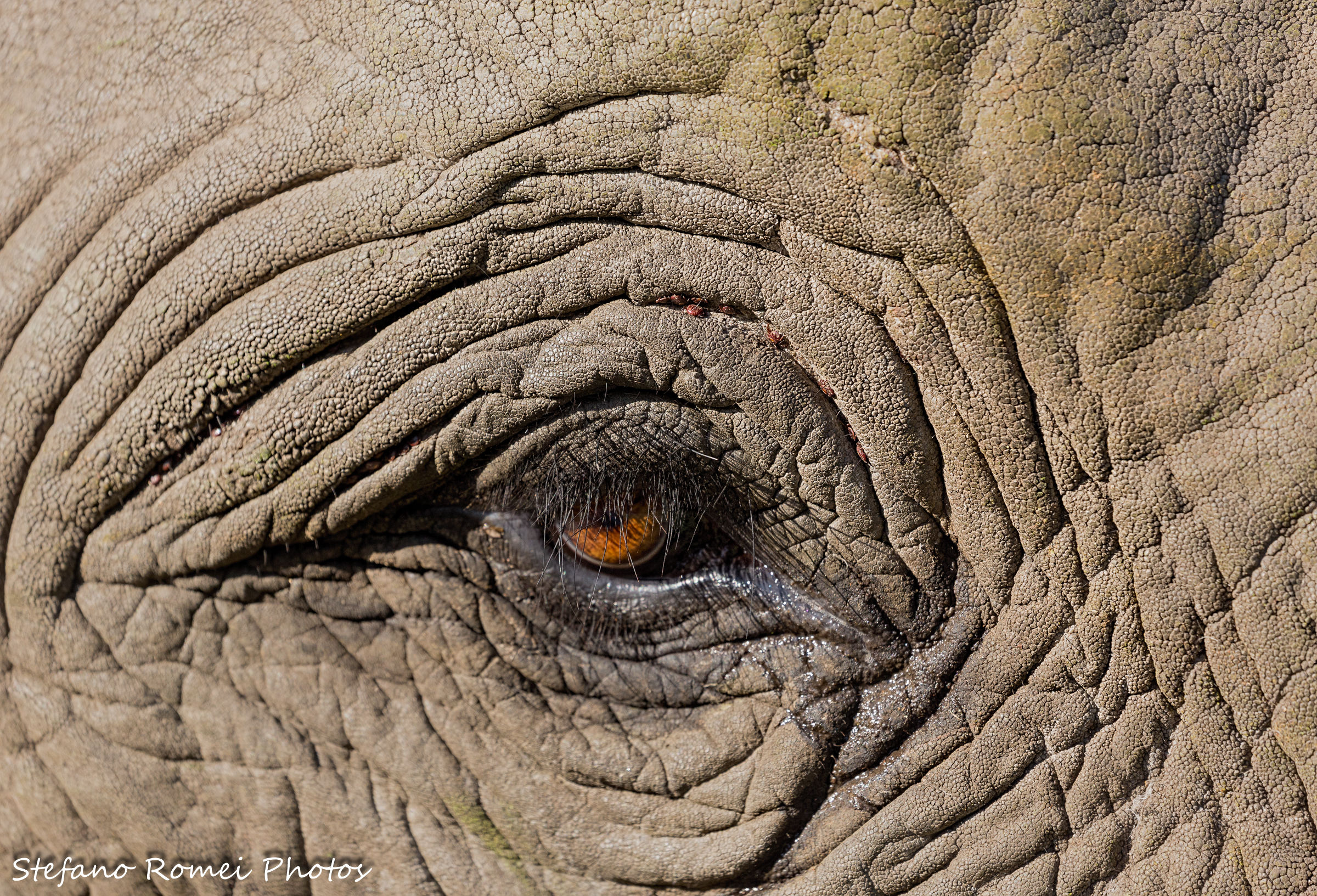 you are a beautiful boy .... no crop