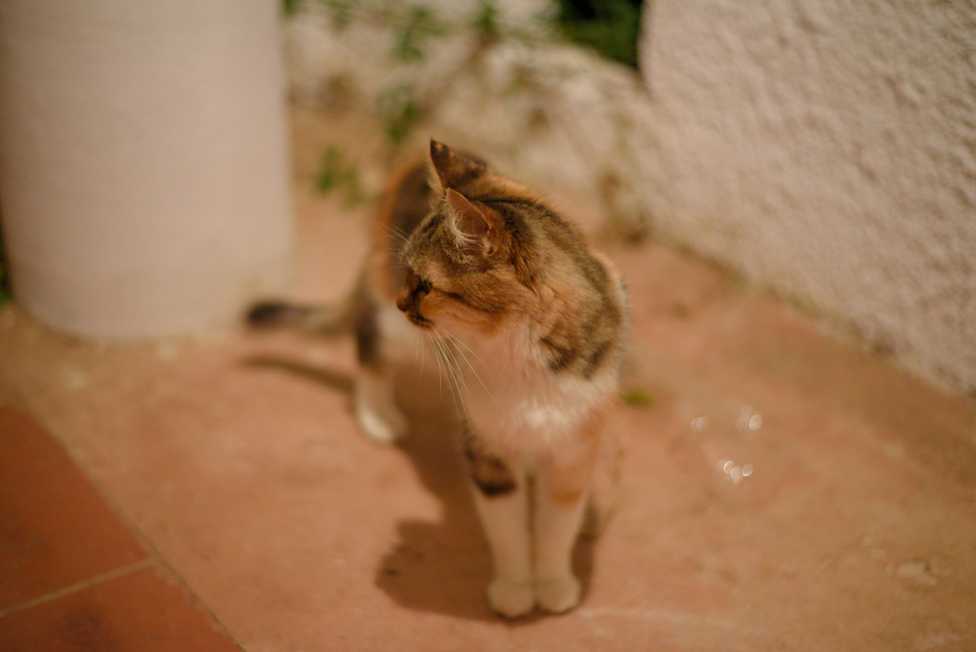 Portrait of my dearest Ya Ya