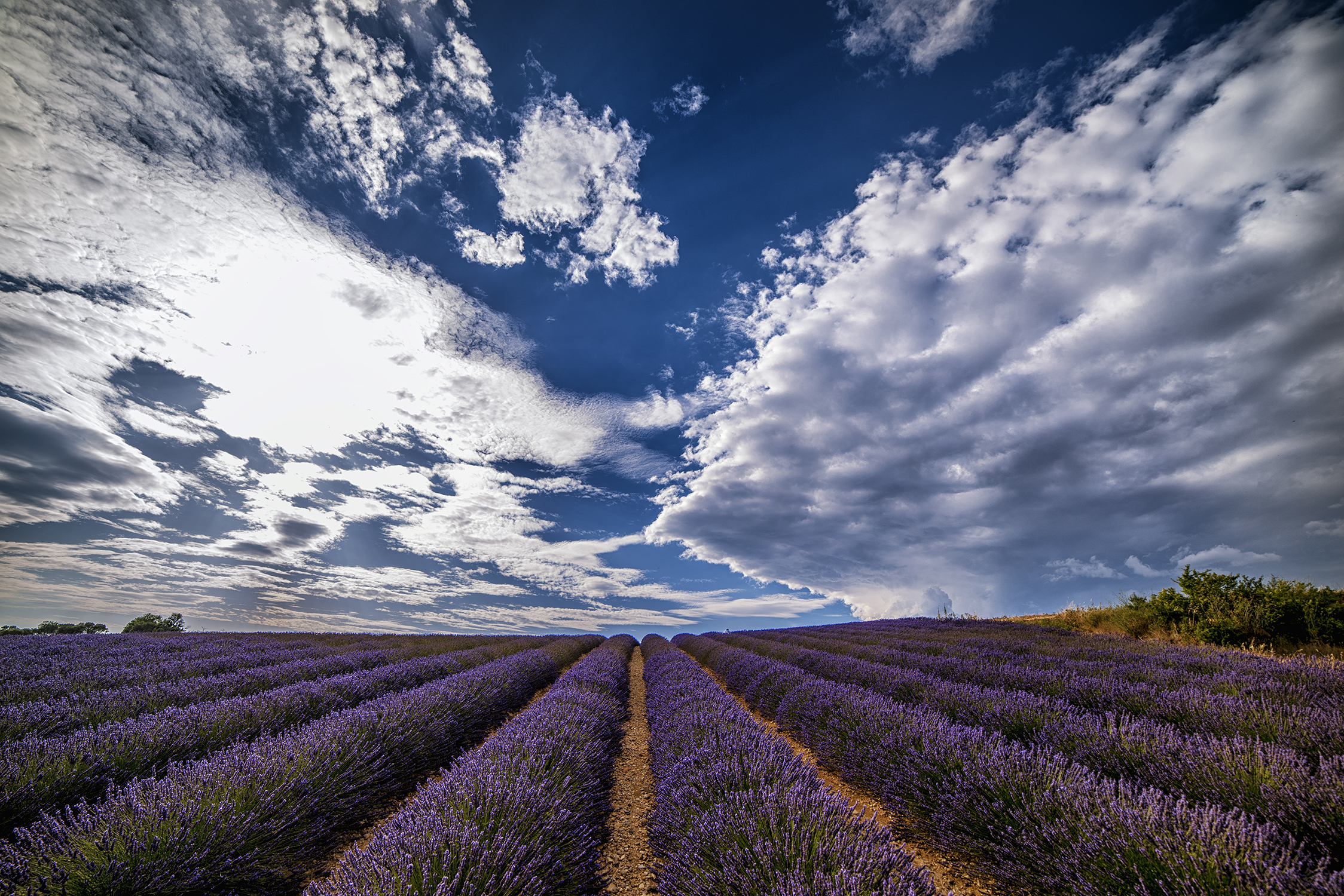 Provenza Luglio 2016