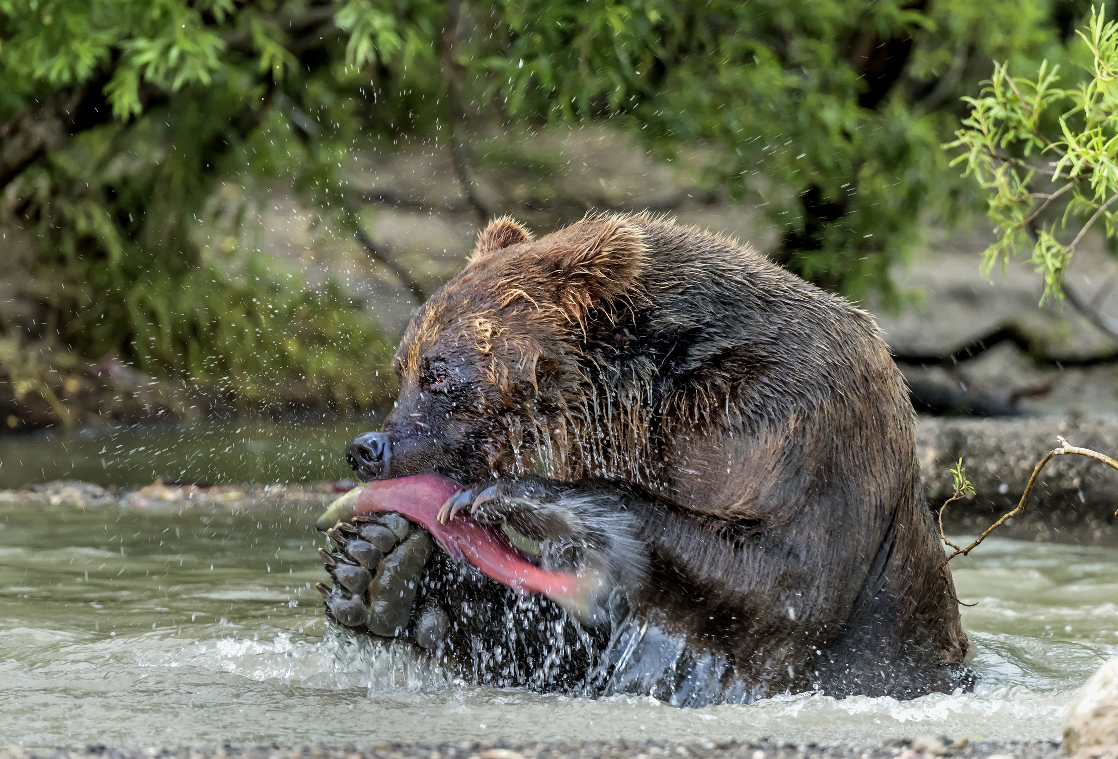 Kamchatka 2016 - Fishing