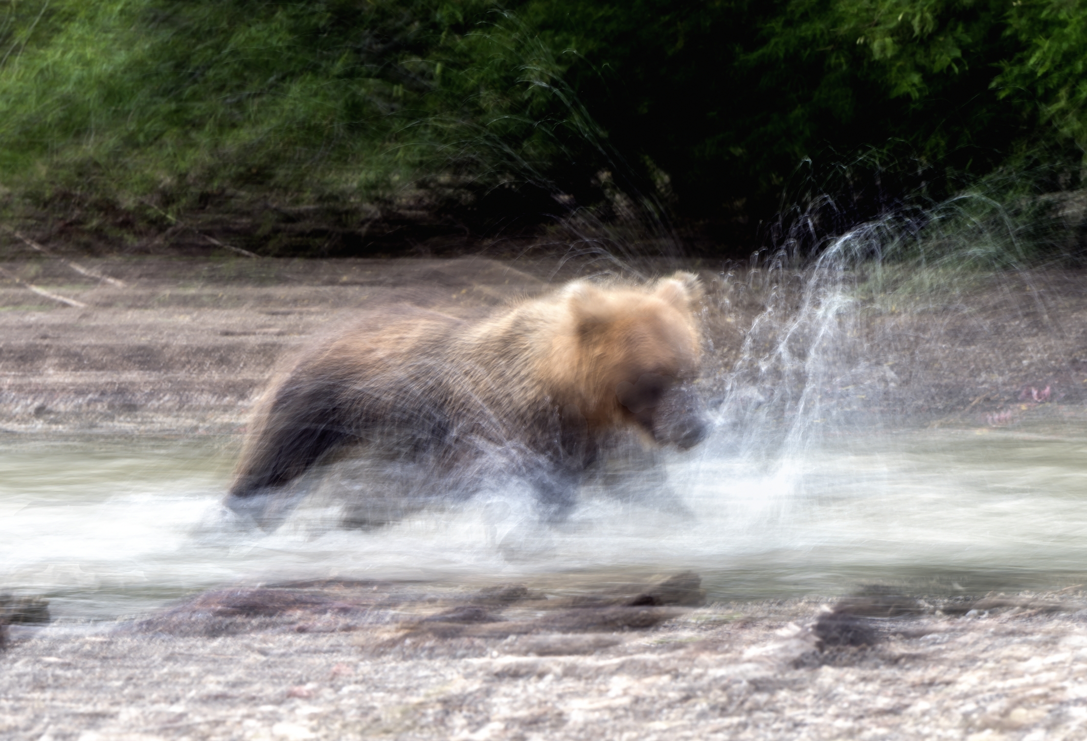 Kamchatka 2016 - Fishing