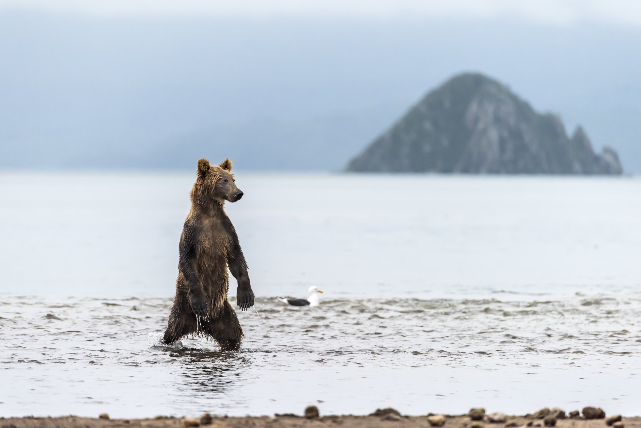 Kamchatka 2016 - Kurile lake