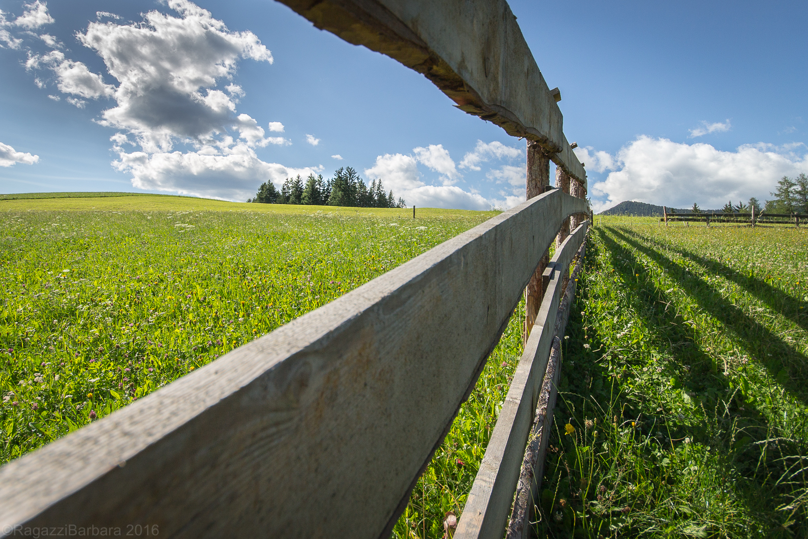 Beyond .... endless green spaces