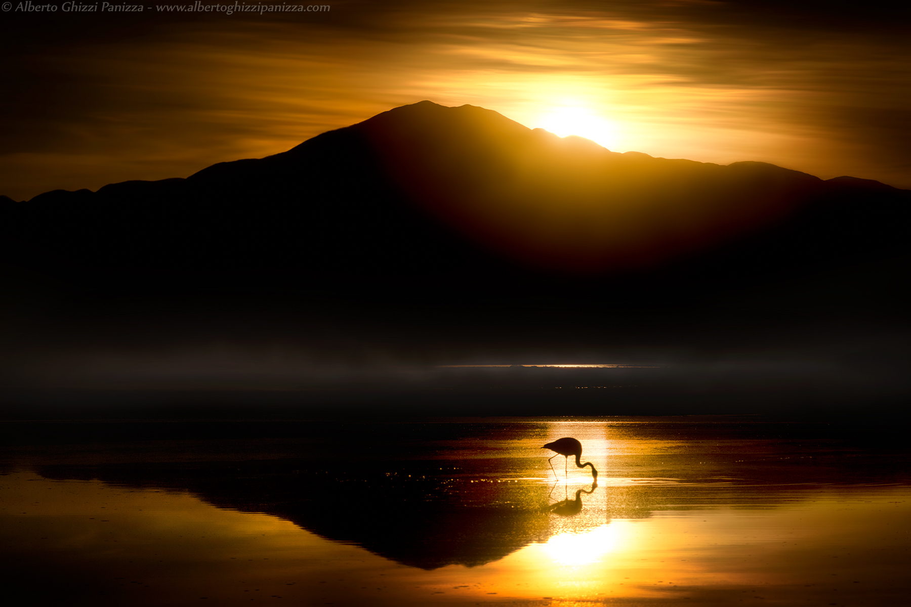 The golden sunsets Laguna Chaxa