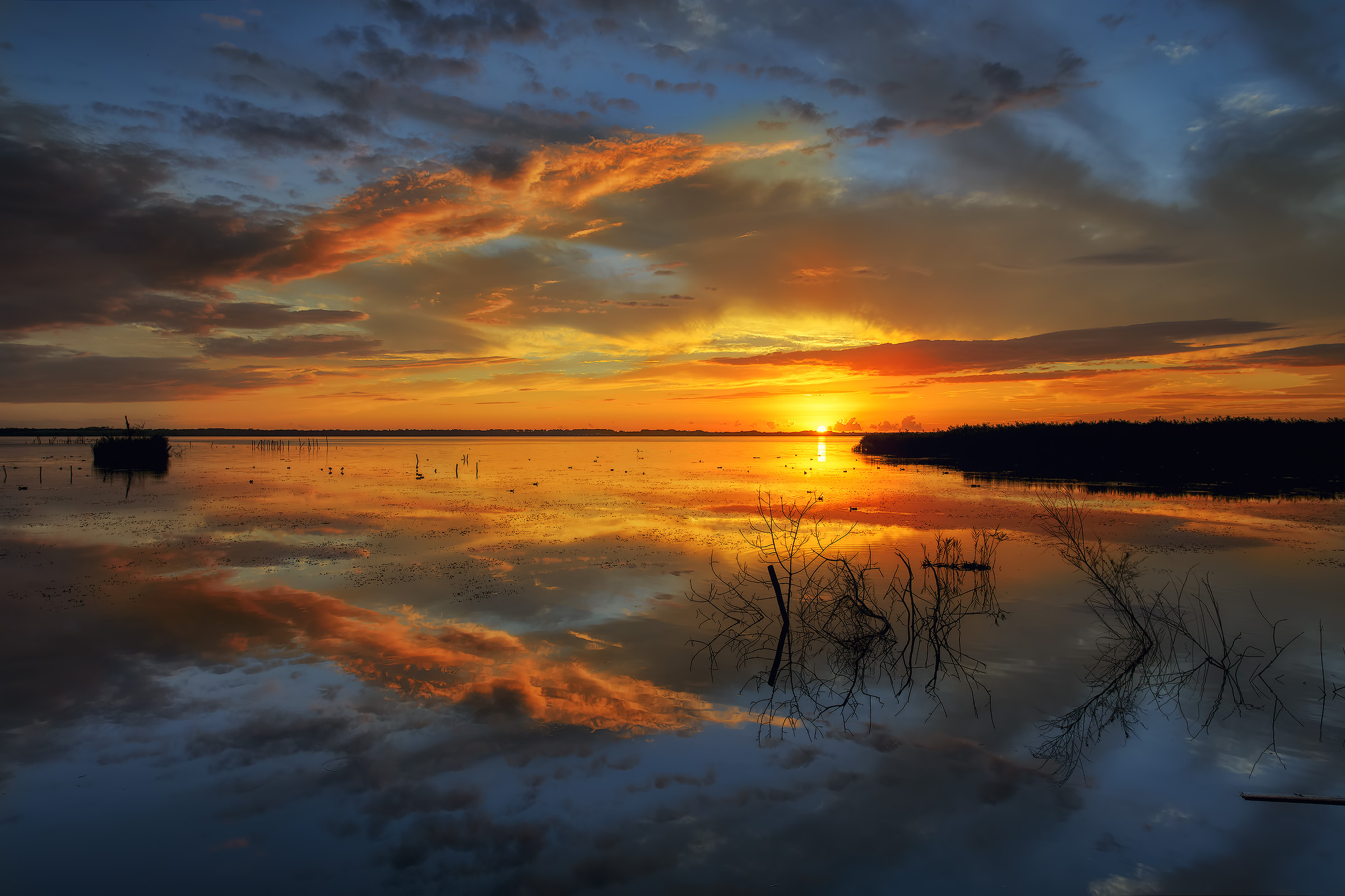 Adoro questi pochi attimi di quiete, dopo la tempesta.