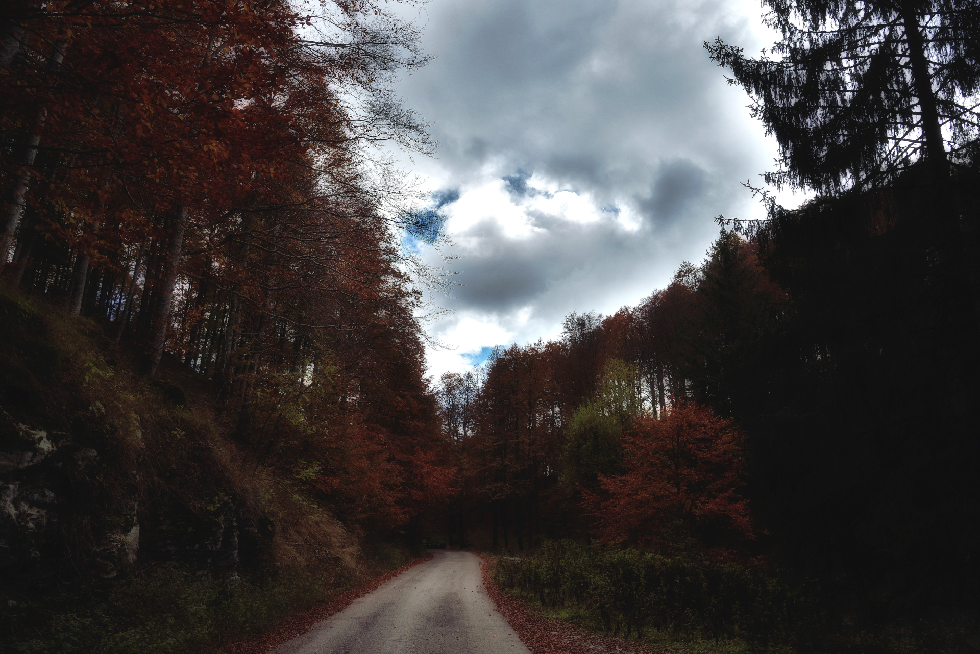 autunno sul pian del cansiglio 1