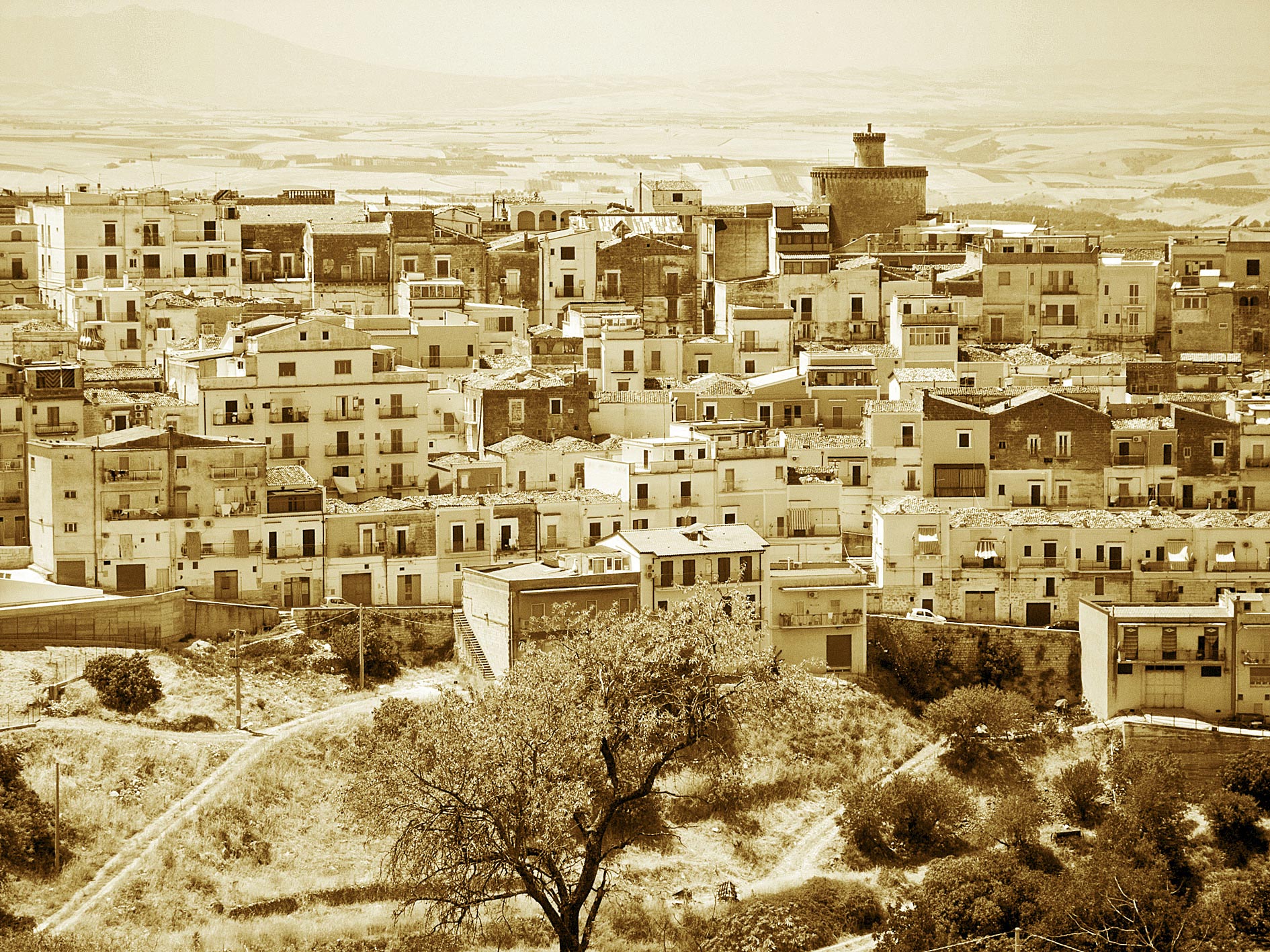 Minervino Murge - Puglia