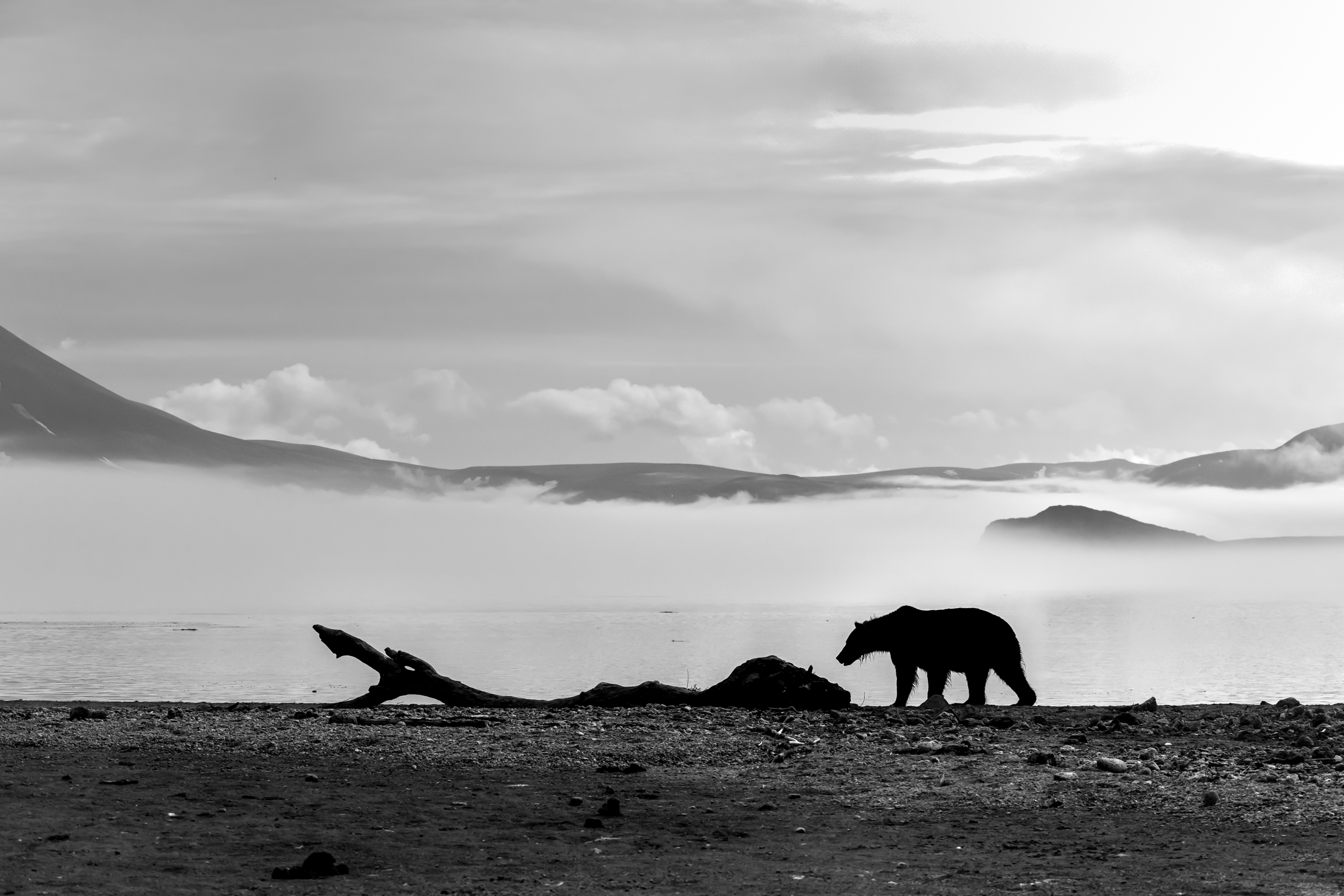 Kamchatka 2016 - B&W Profile in the fog
