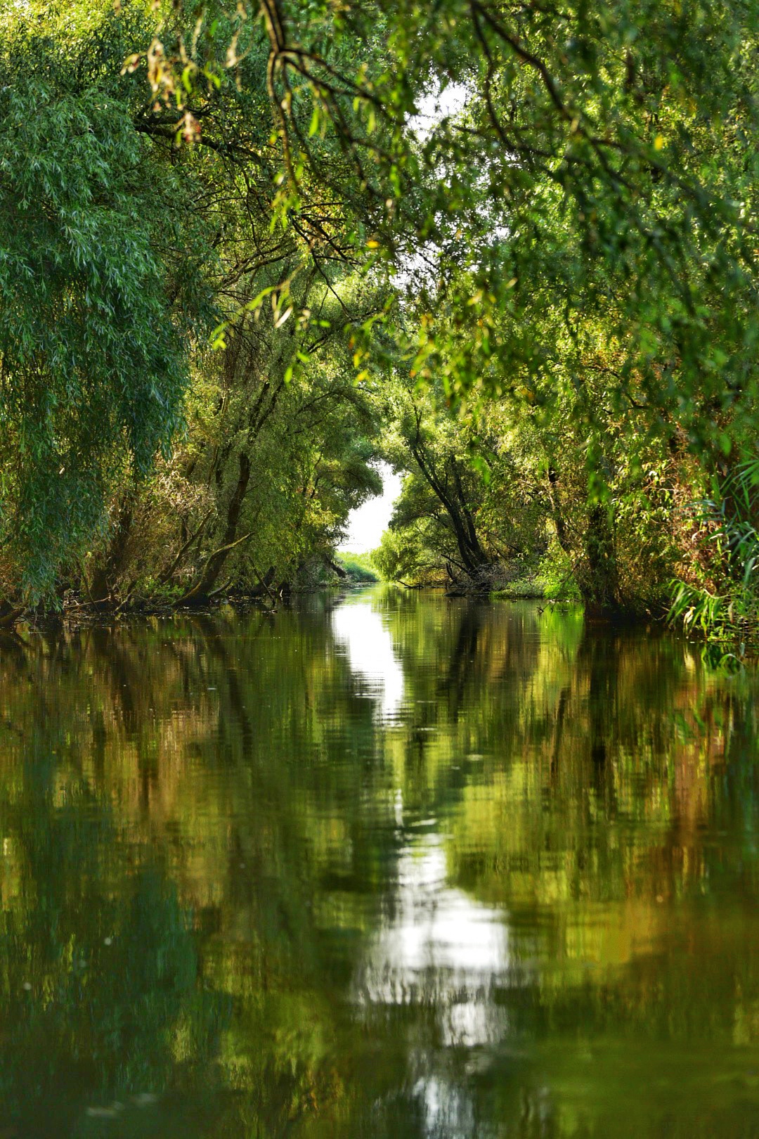Danube Delta