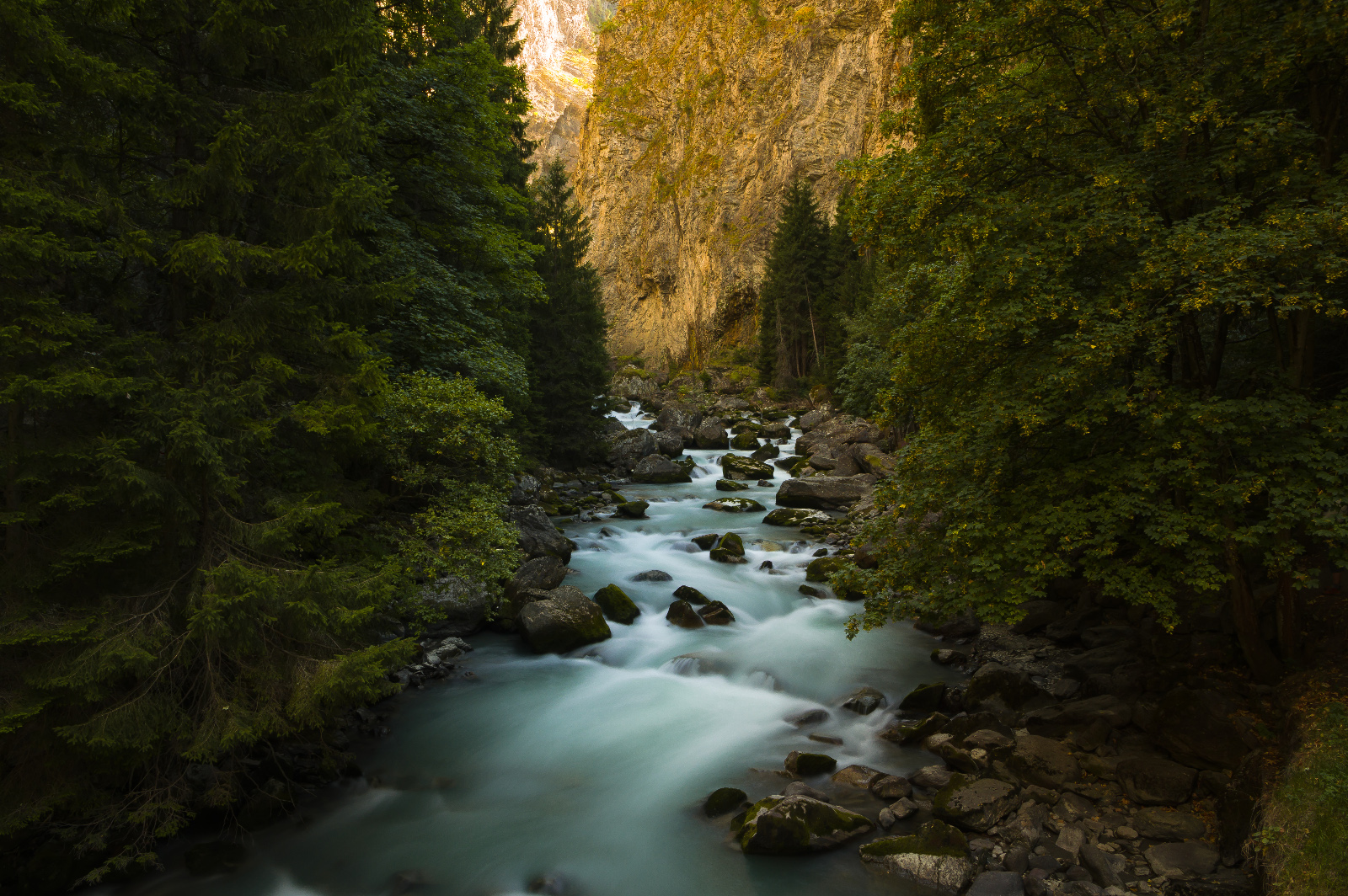 Ravine Pre 'Saint Didier