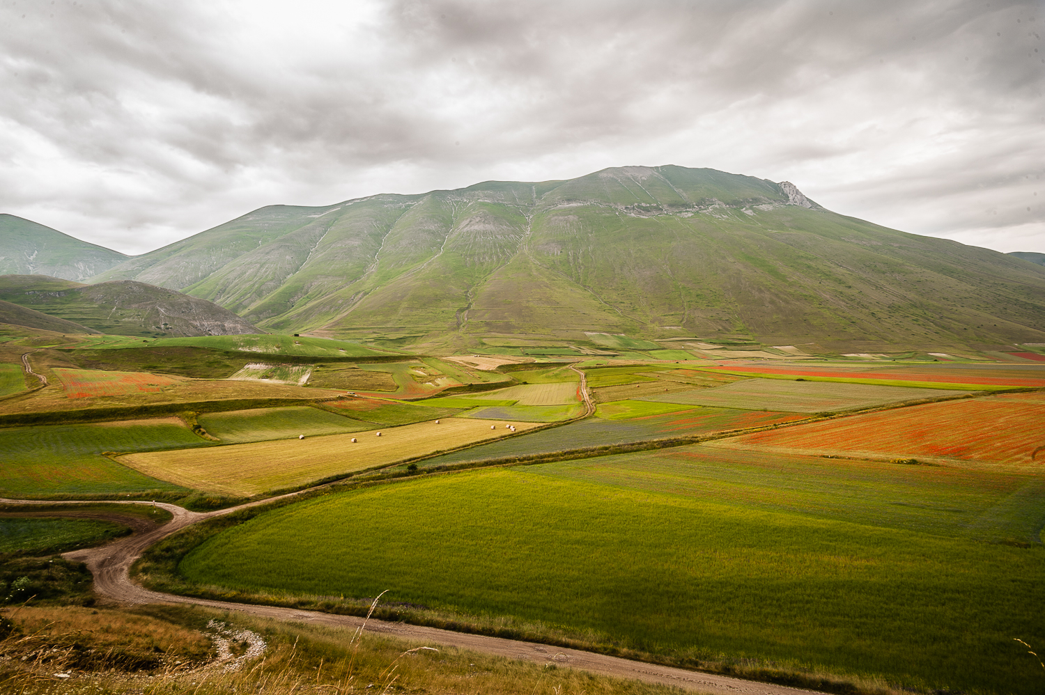 Castelluccio 2016