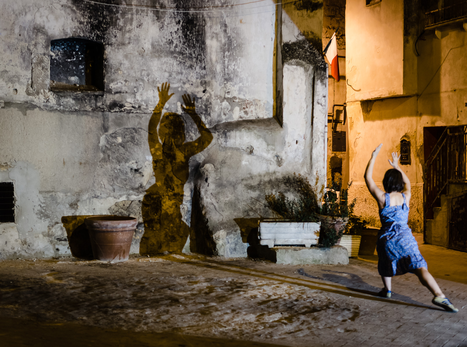 La danzartice e la sua compagna