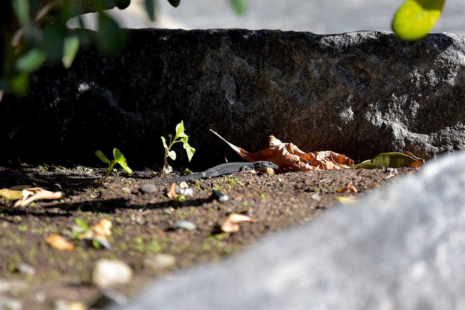 photo / document and nothing more