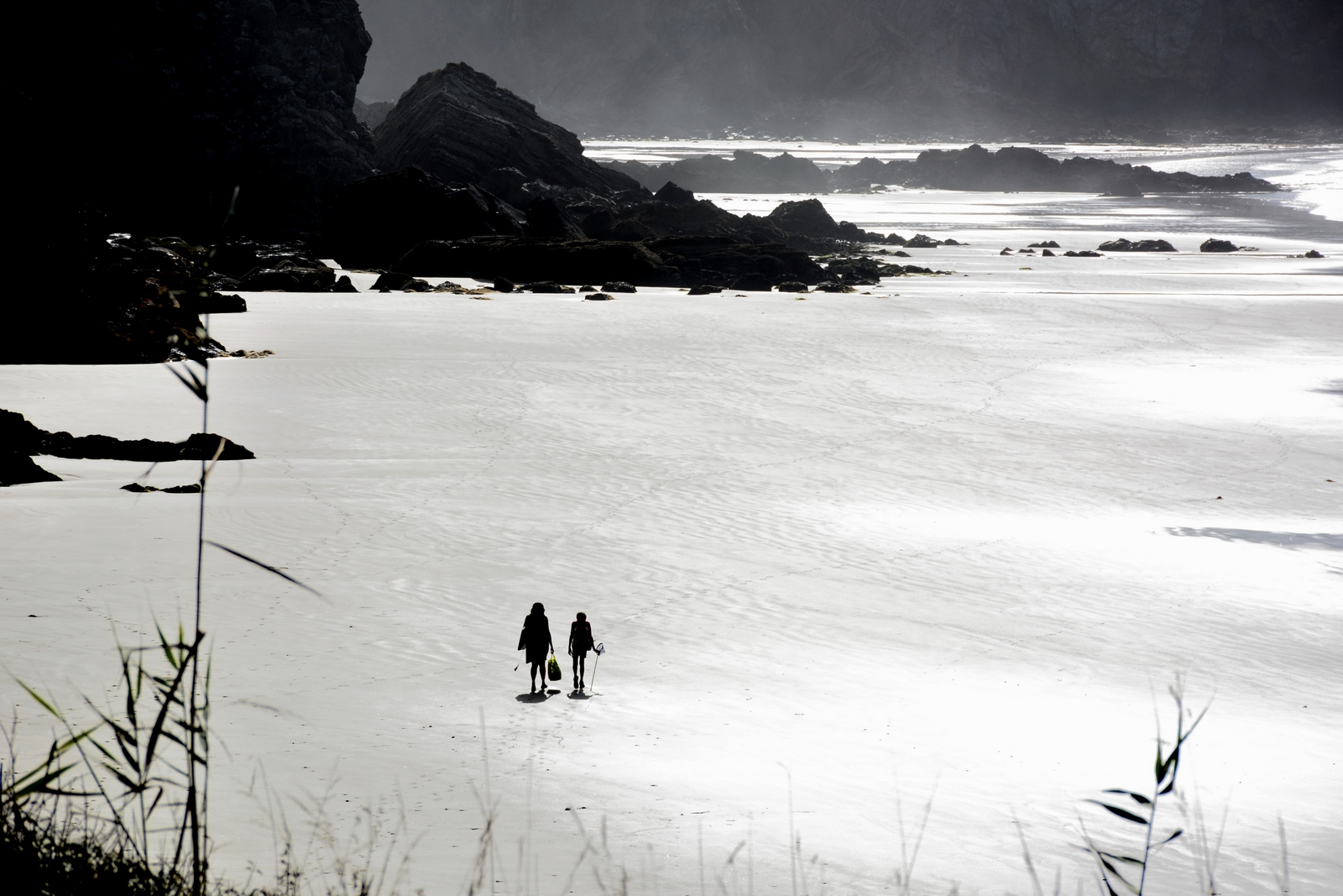 rarefaction anthropogenic