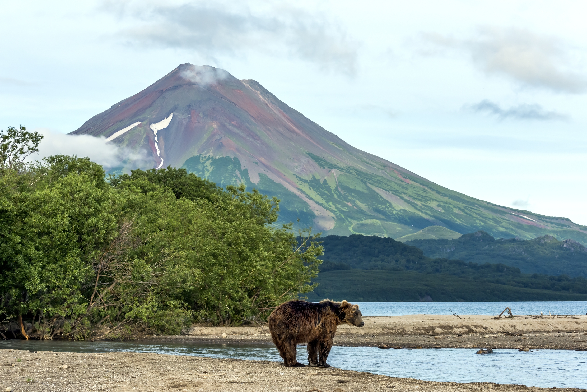Kamchatka 2016 - Bear, lake and volcano