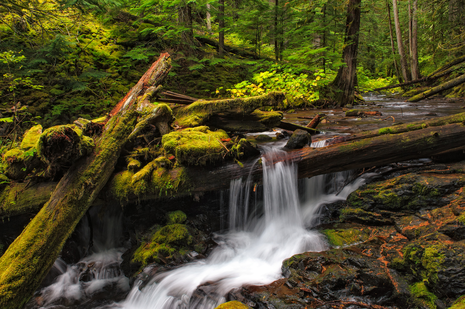 Panther Creek, WA, d700