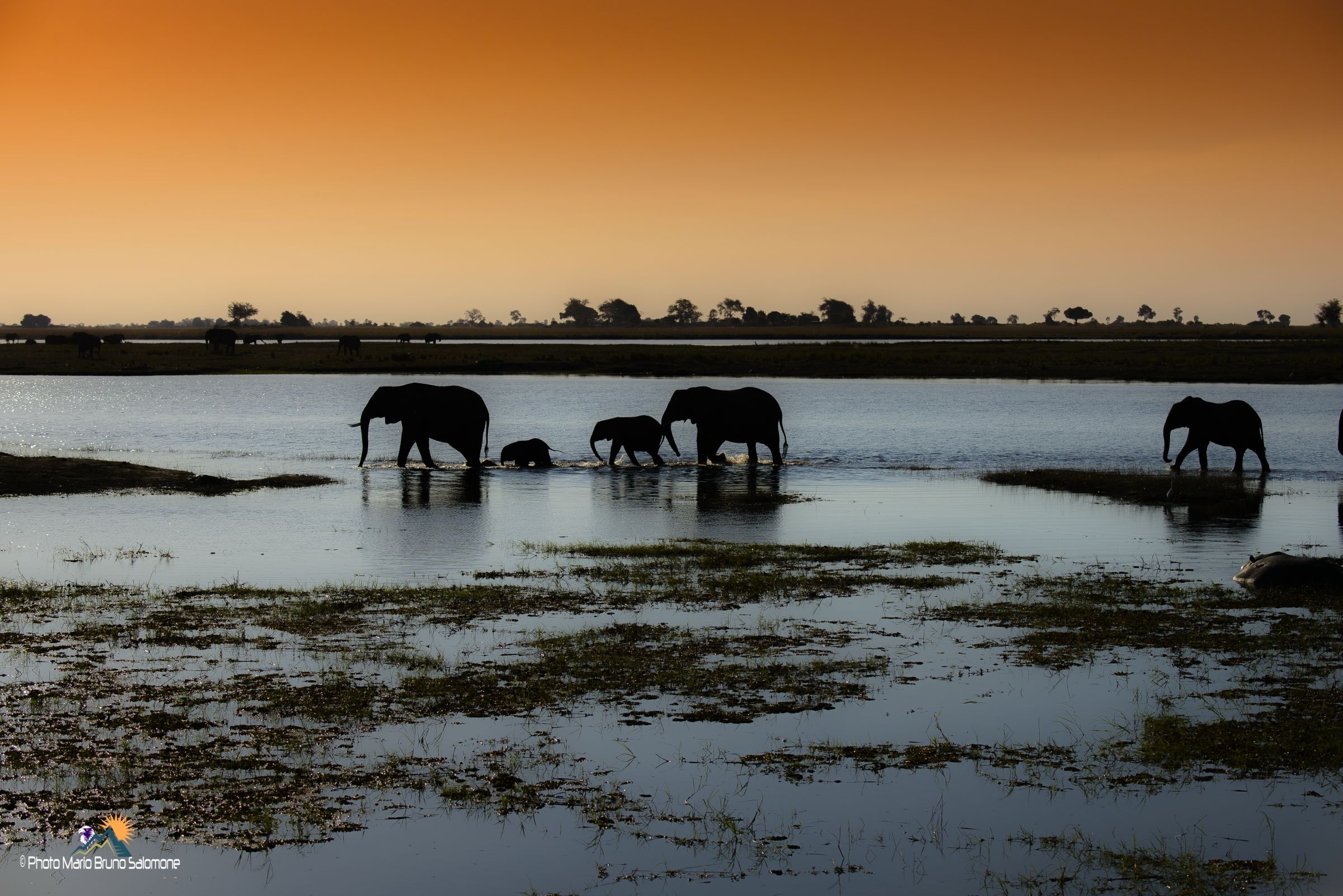 Shadows, in an African evening