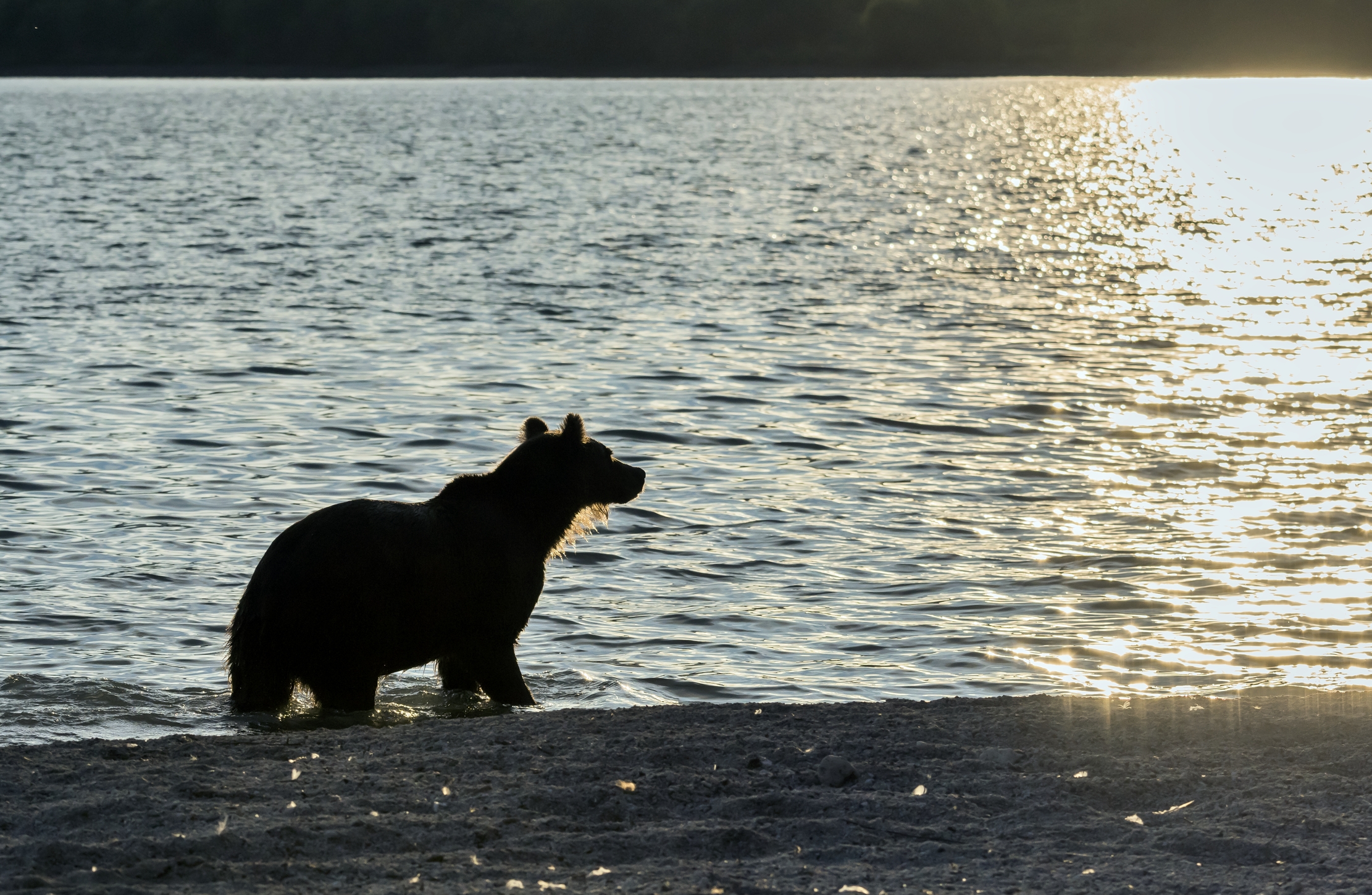 Kamchatka 2016 - Tramonto sul Kurile lake