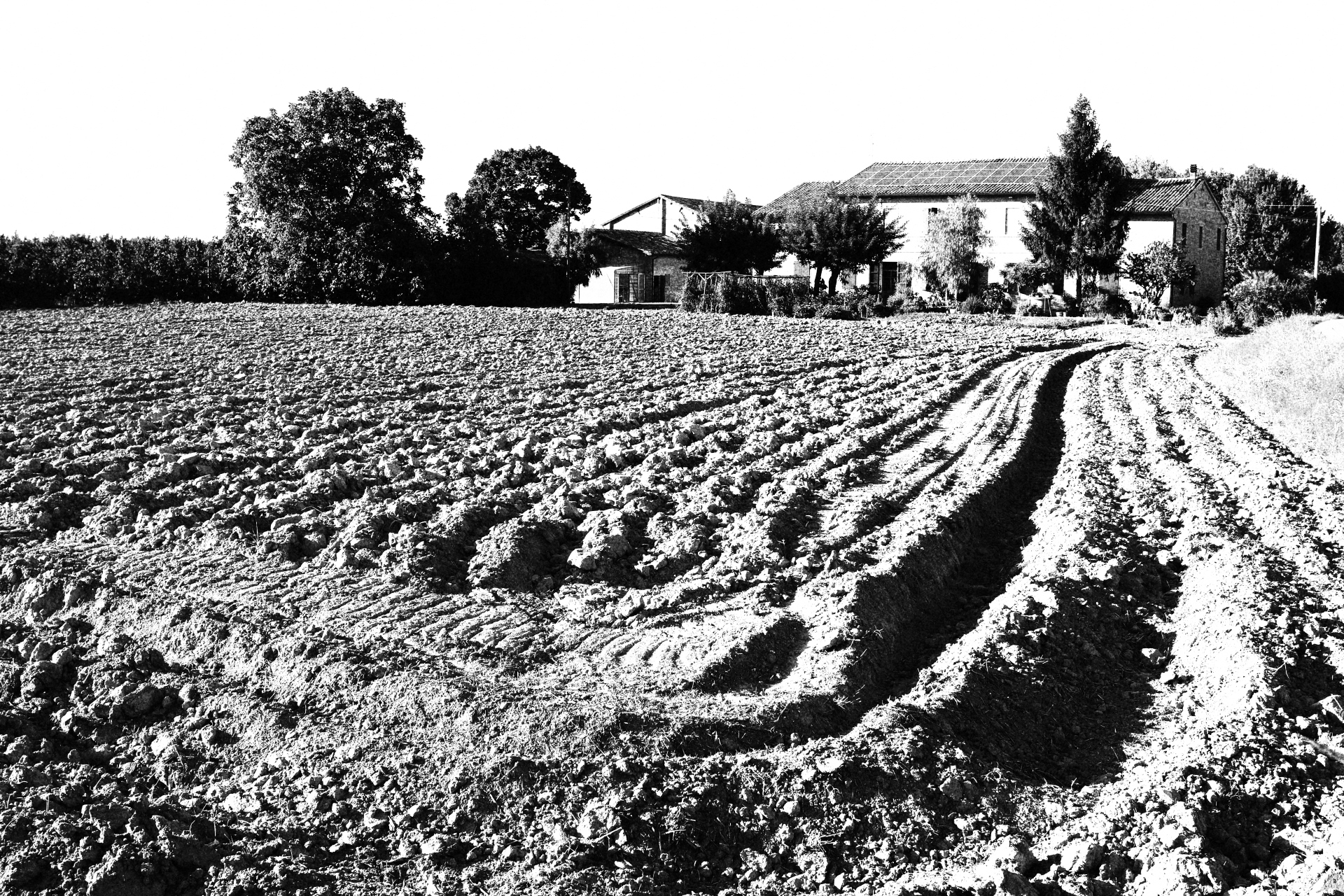 The Romagna countryside