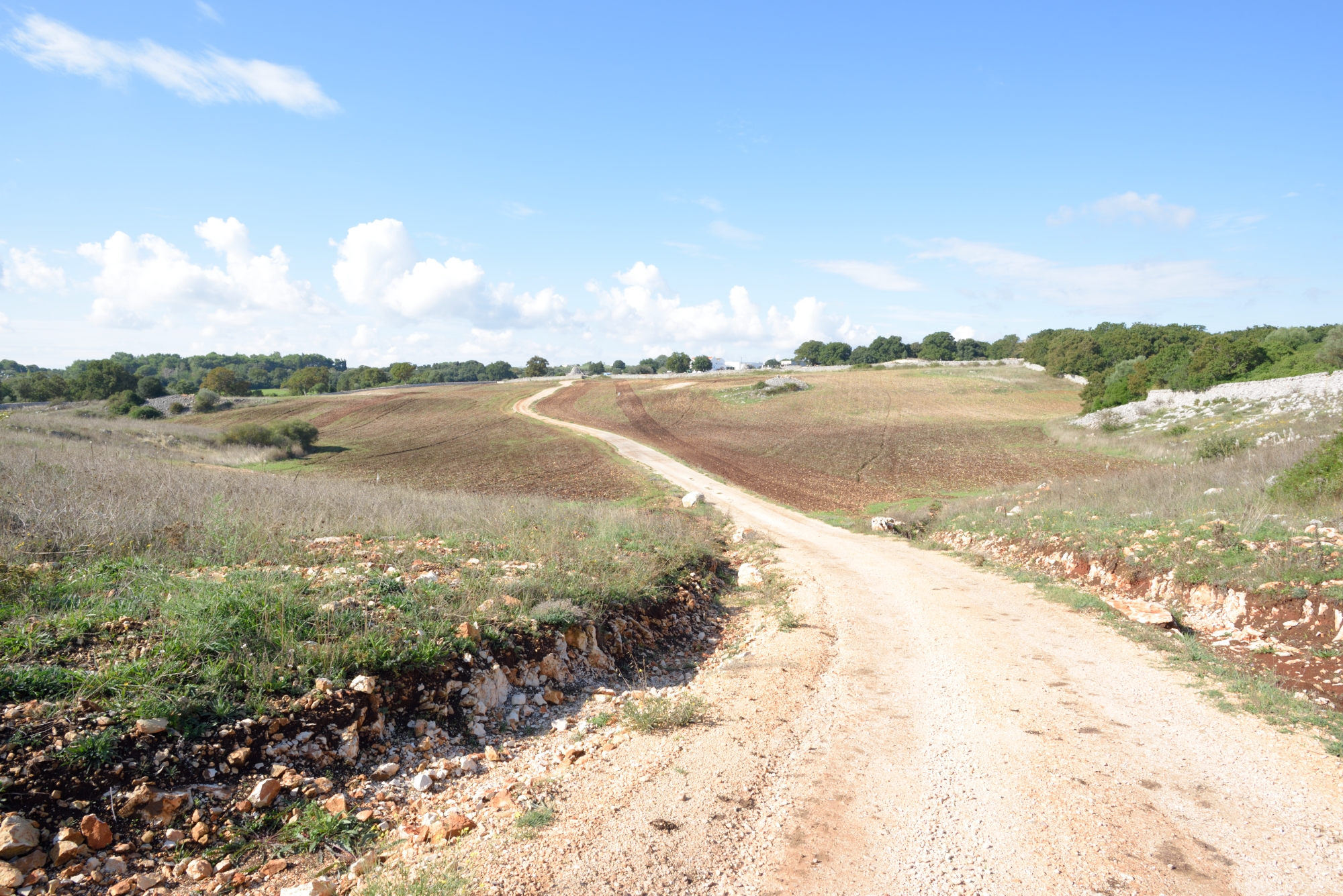 Pugliese landscape