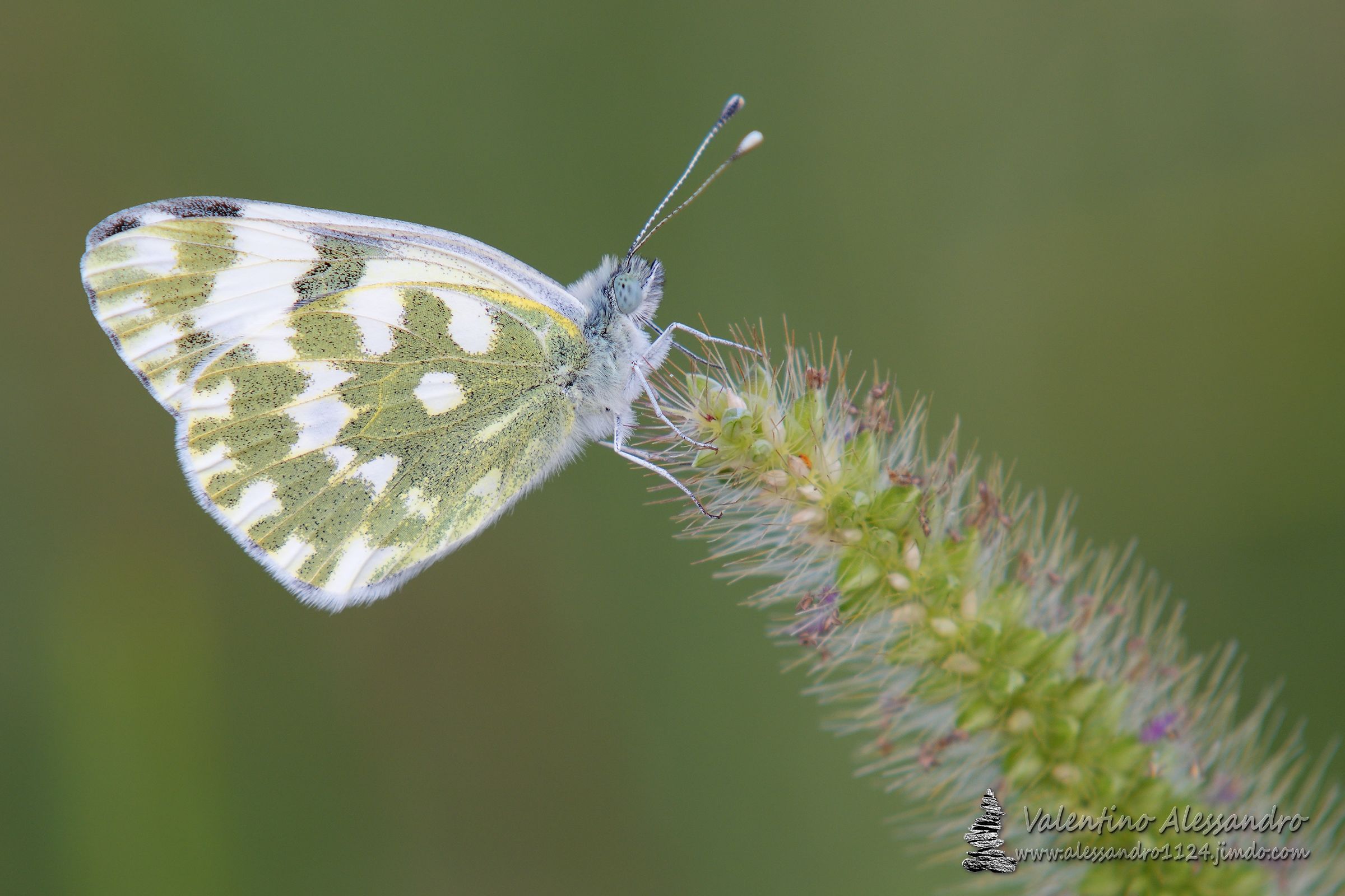 The first day of autumn