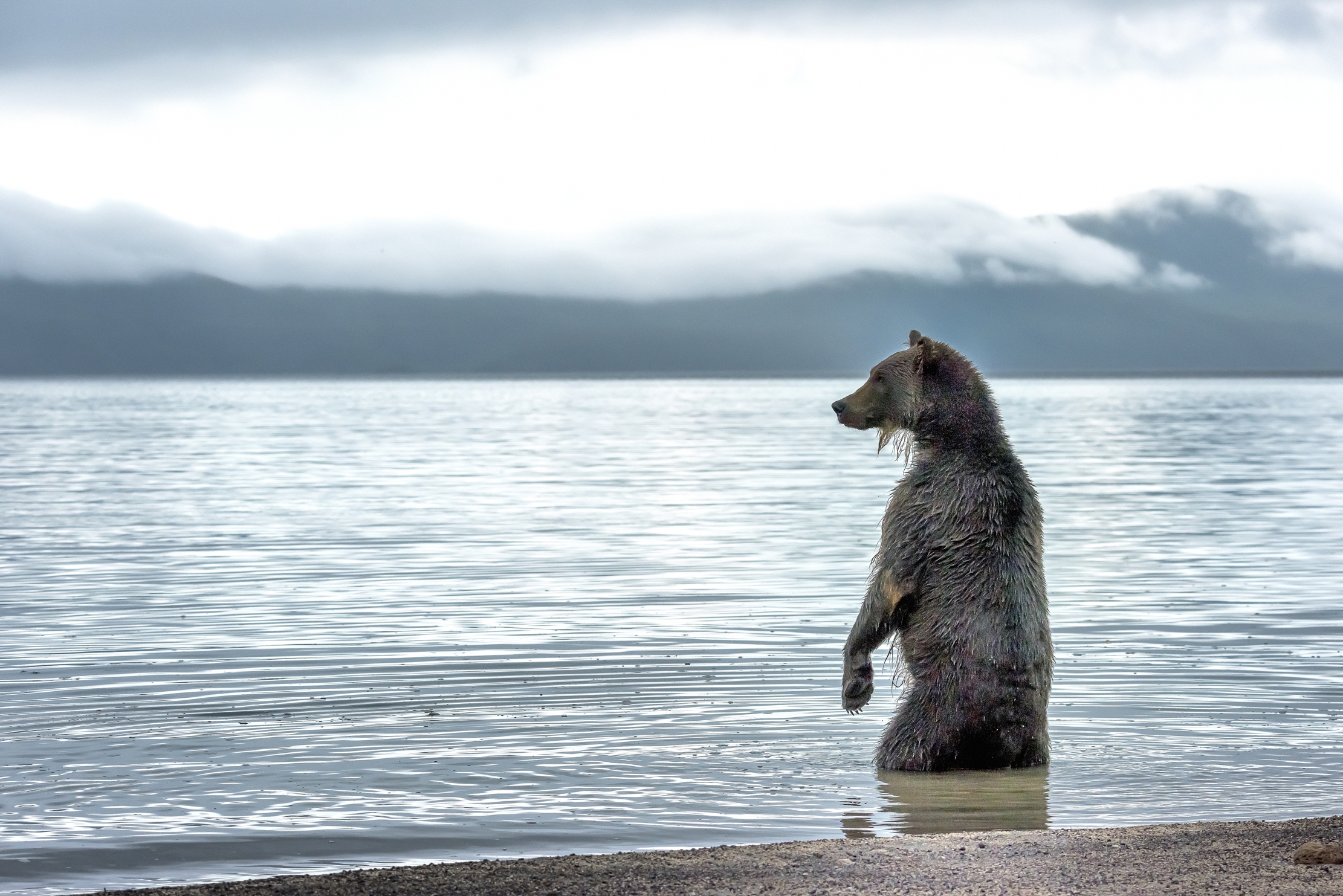 Kamchatka 2016 - Guardando il lago