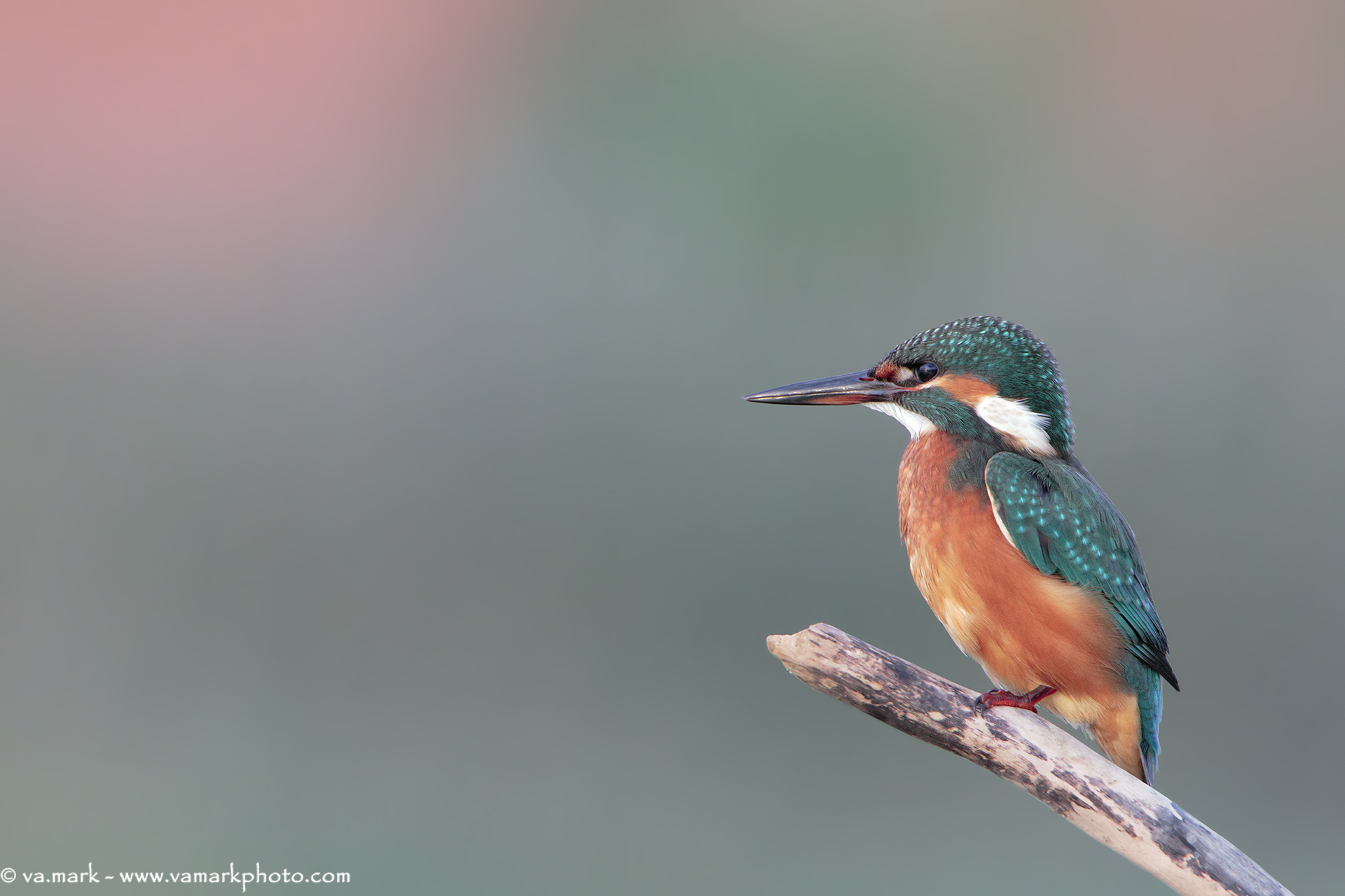 Dopo una giornata di pesca.....