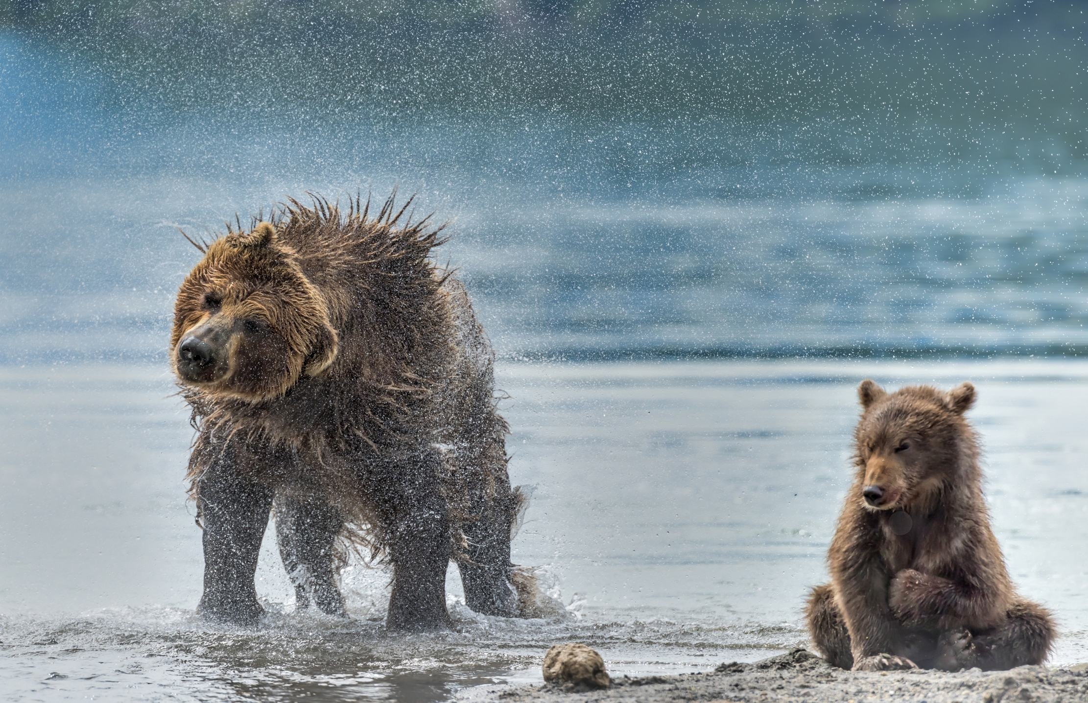 Kamchatka 2016 - Shaking
