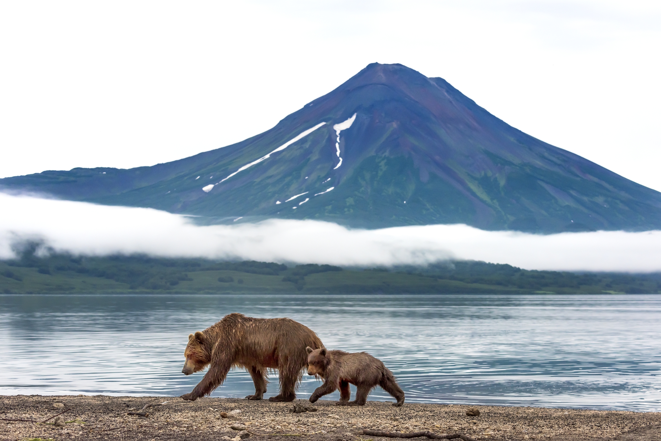 Kamchatka 2016 - All'ombra del vulcano