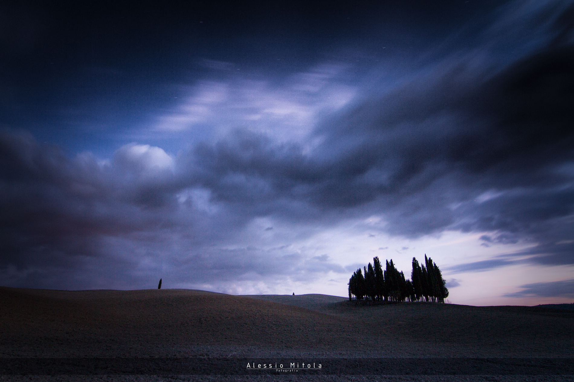 The cypress of San Quirico