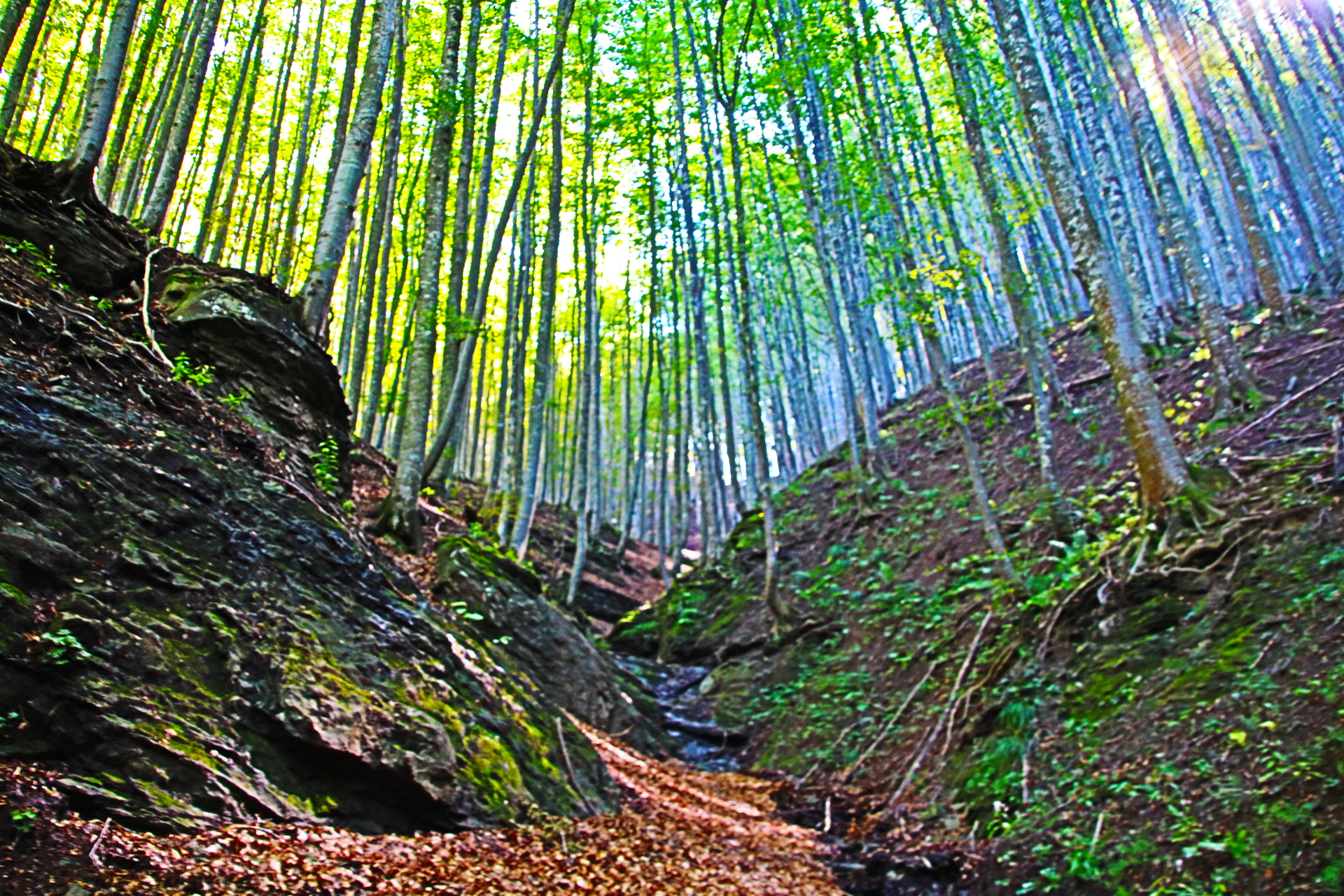 The Casentino paradise