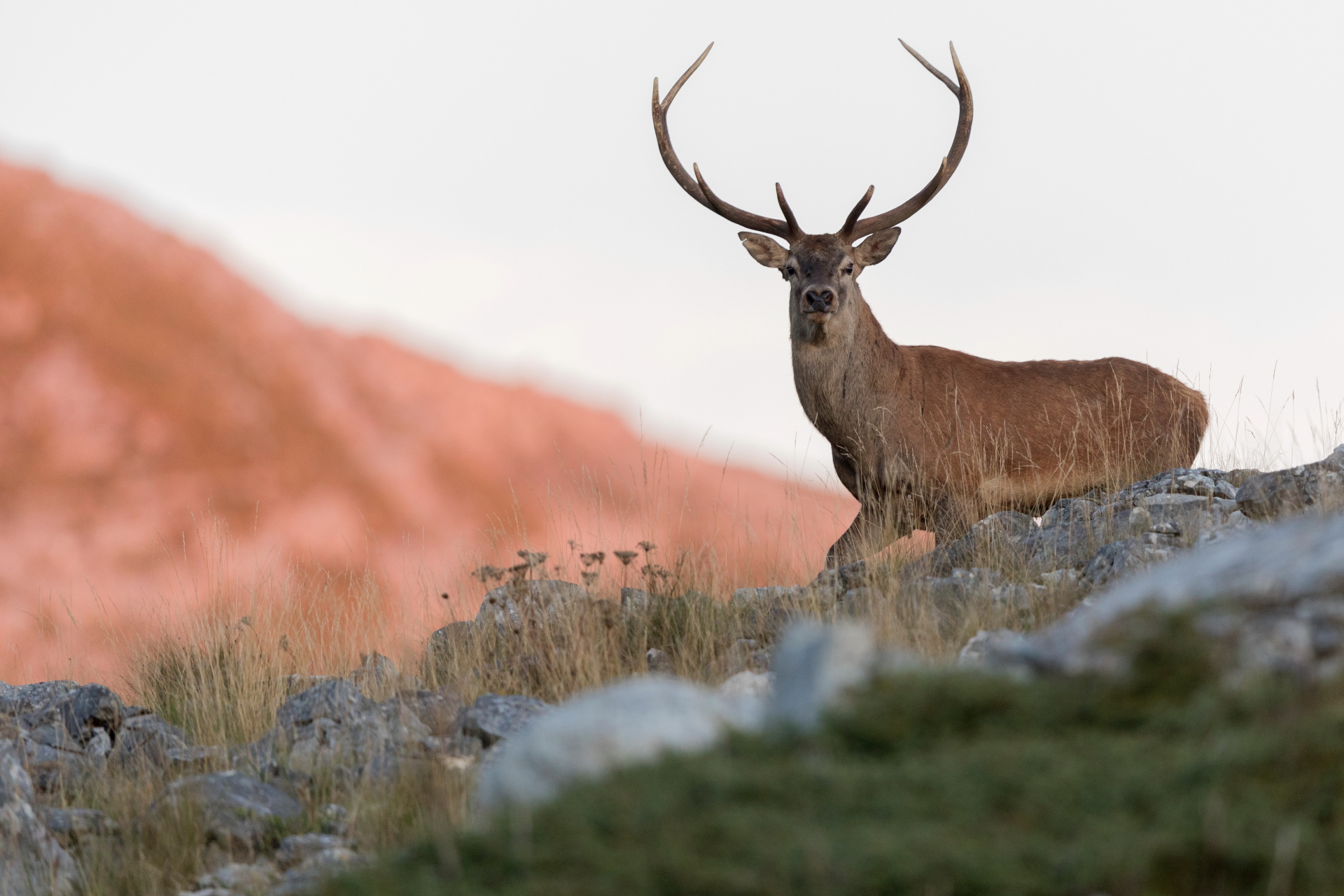 Prima luce sui monti della Meta