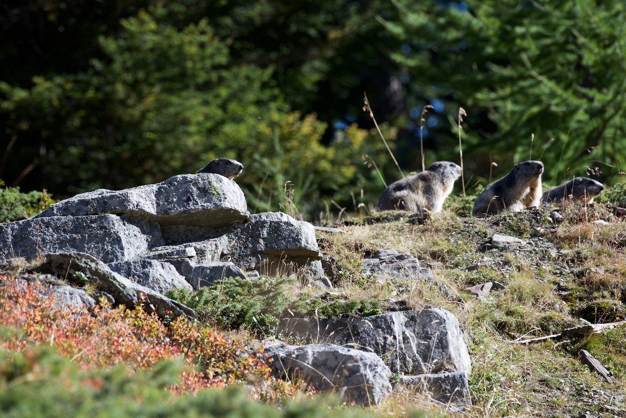 Ritratto di famiglia